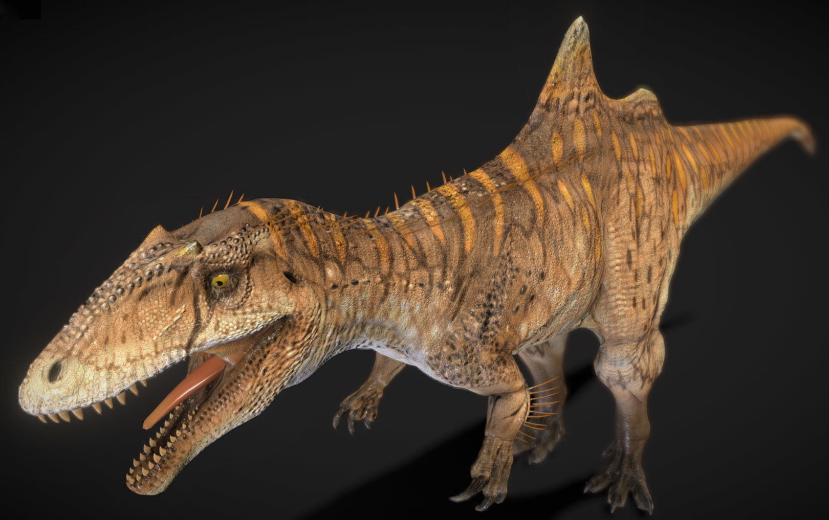 Concavenator Low-poly 3D model_7