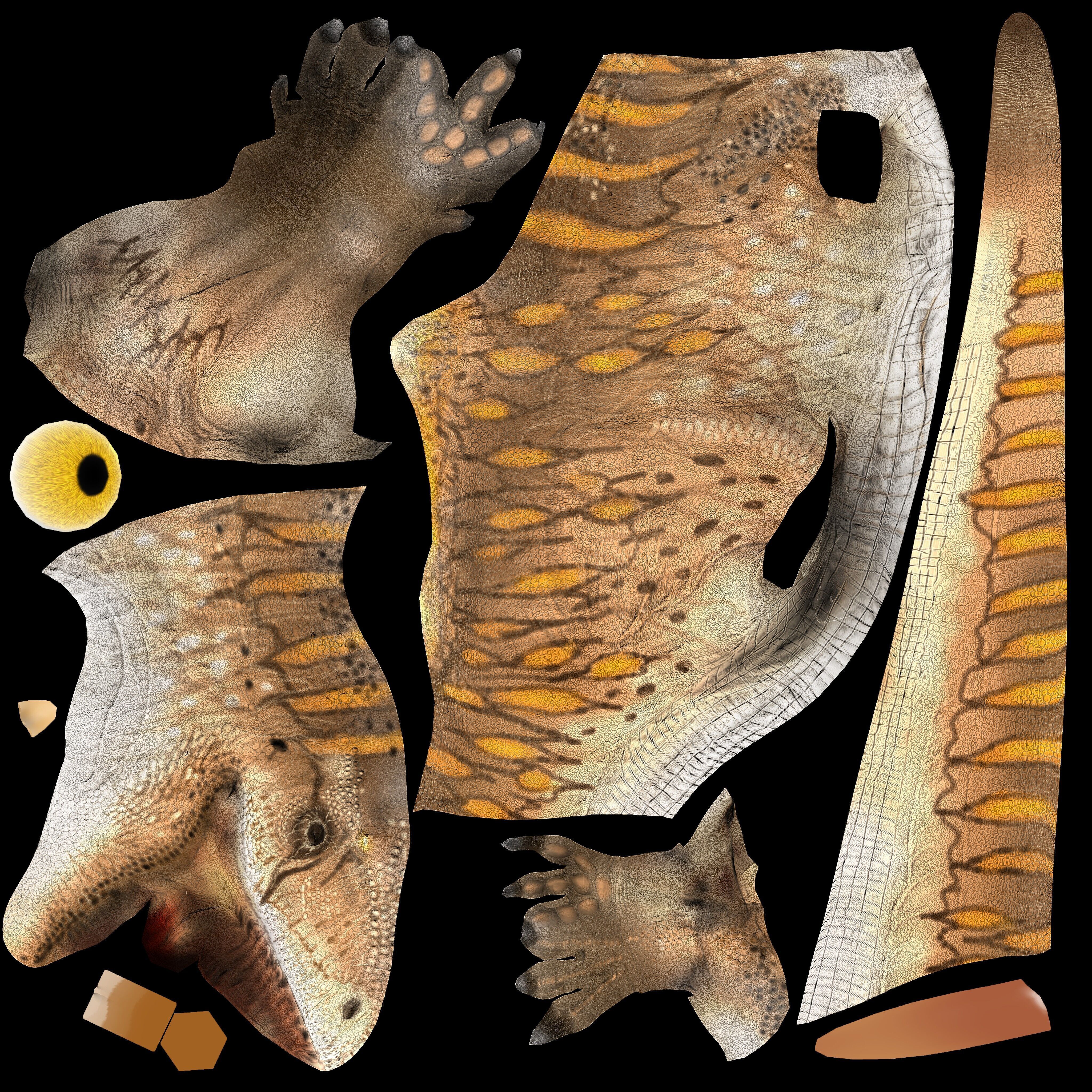 Concavenator Low-poly 3D model_8