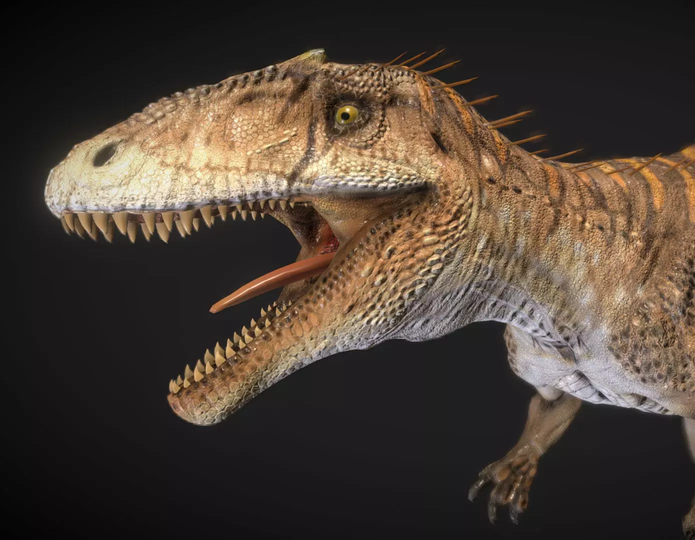 Concavenator Low-poly 3D model_0