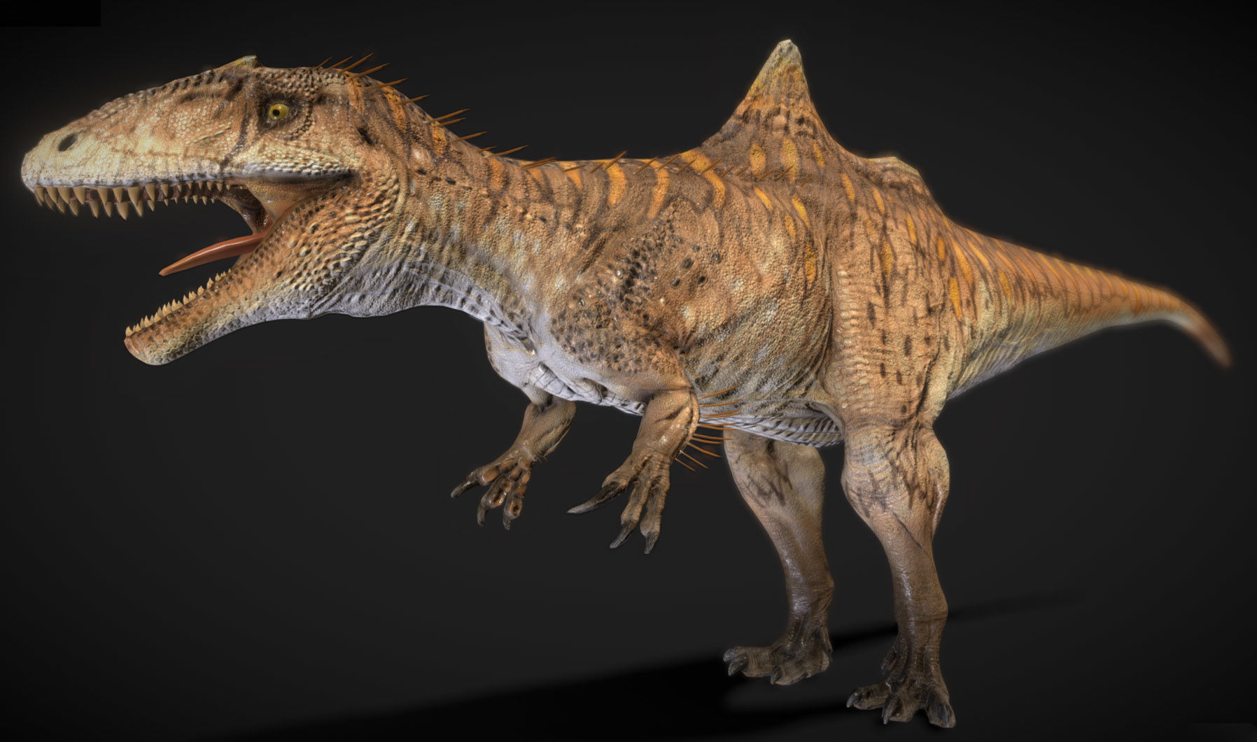 Concavenator Low-poly 3D model_2