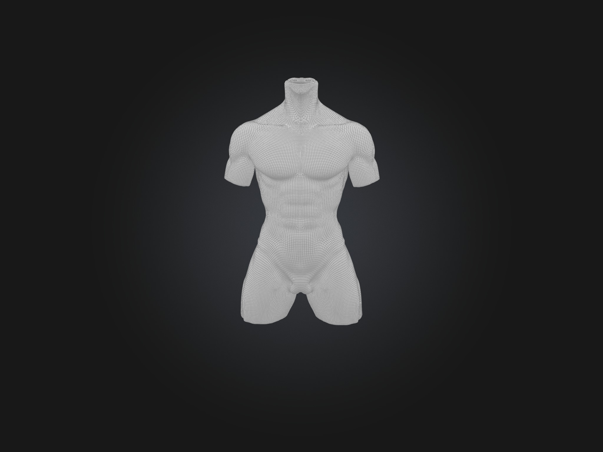 Rectus Abdominis Muscle Mode 3D model_3