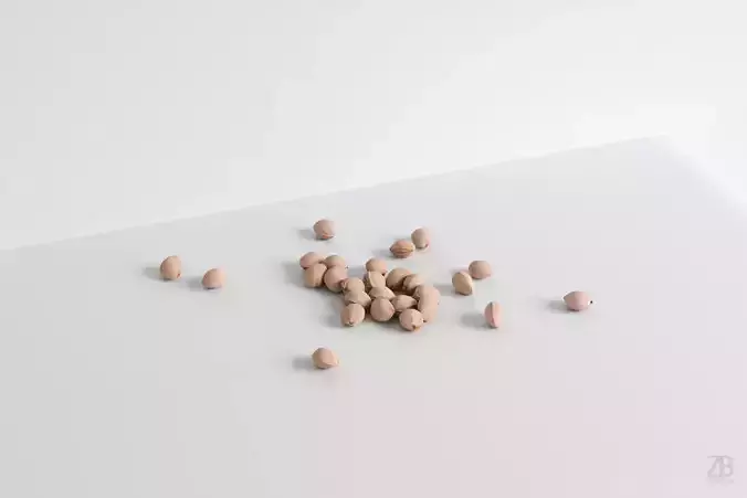 Cherry Seed 3D model