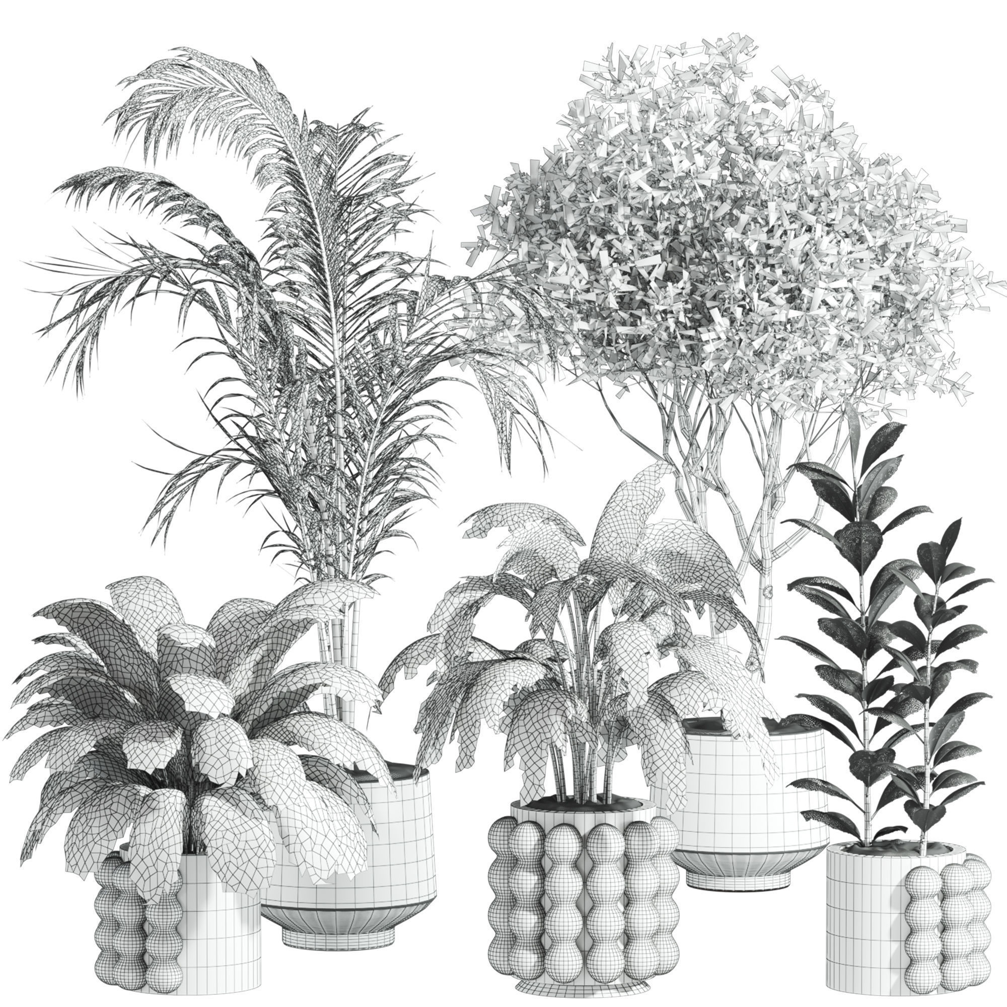 Plants Set 3D model_3