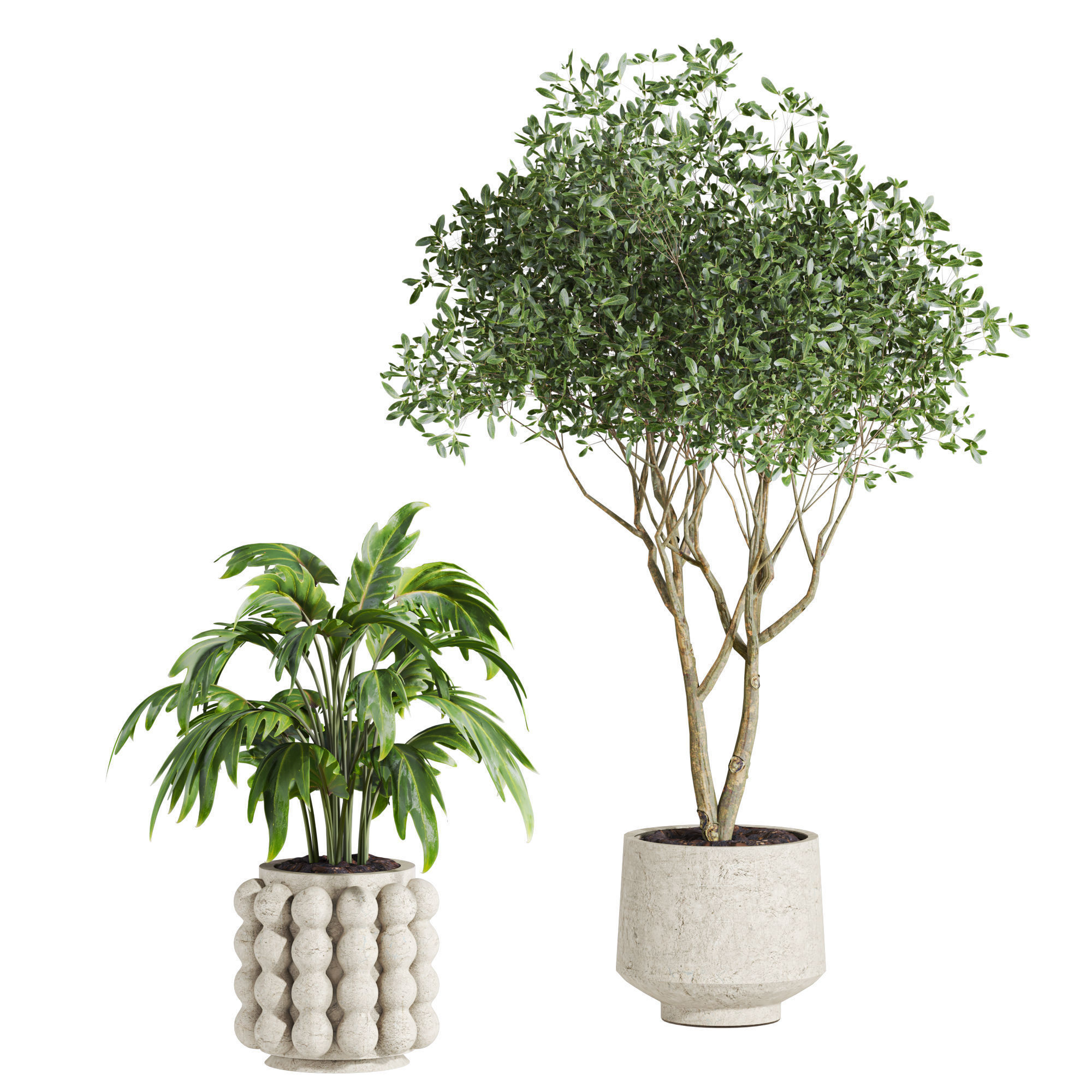 Plants Set 3D model_2