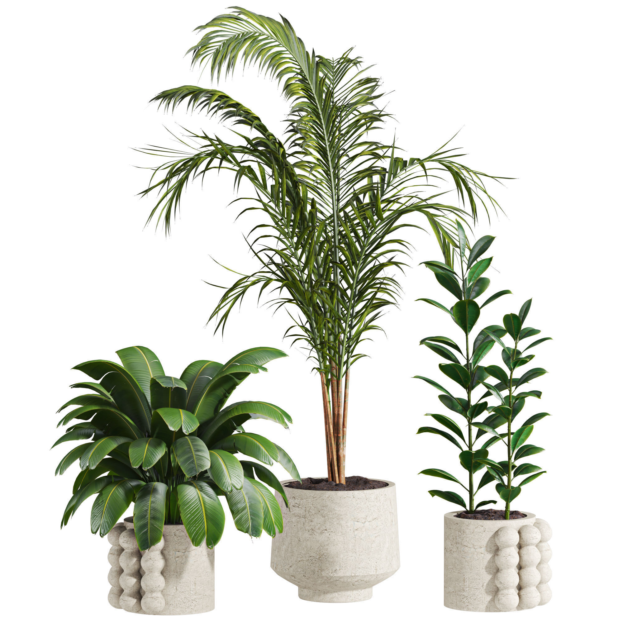 Plants Set 3D model_1