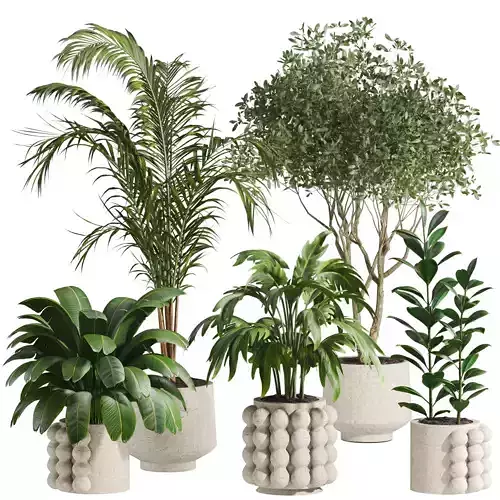 Plants Set