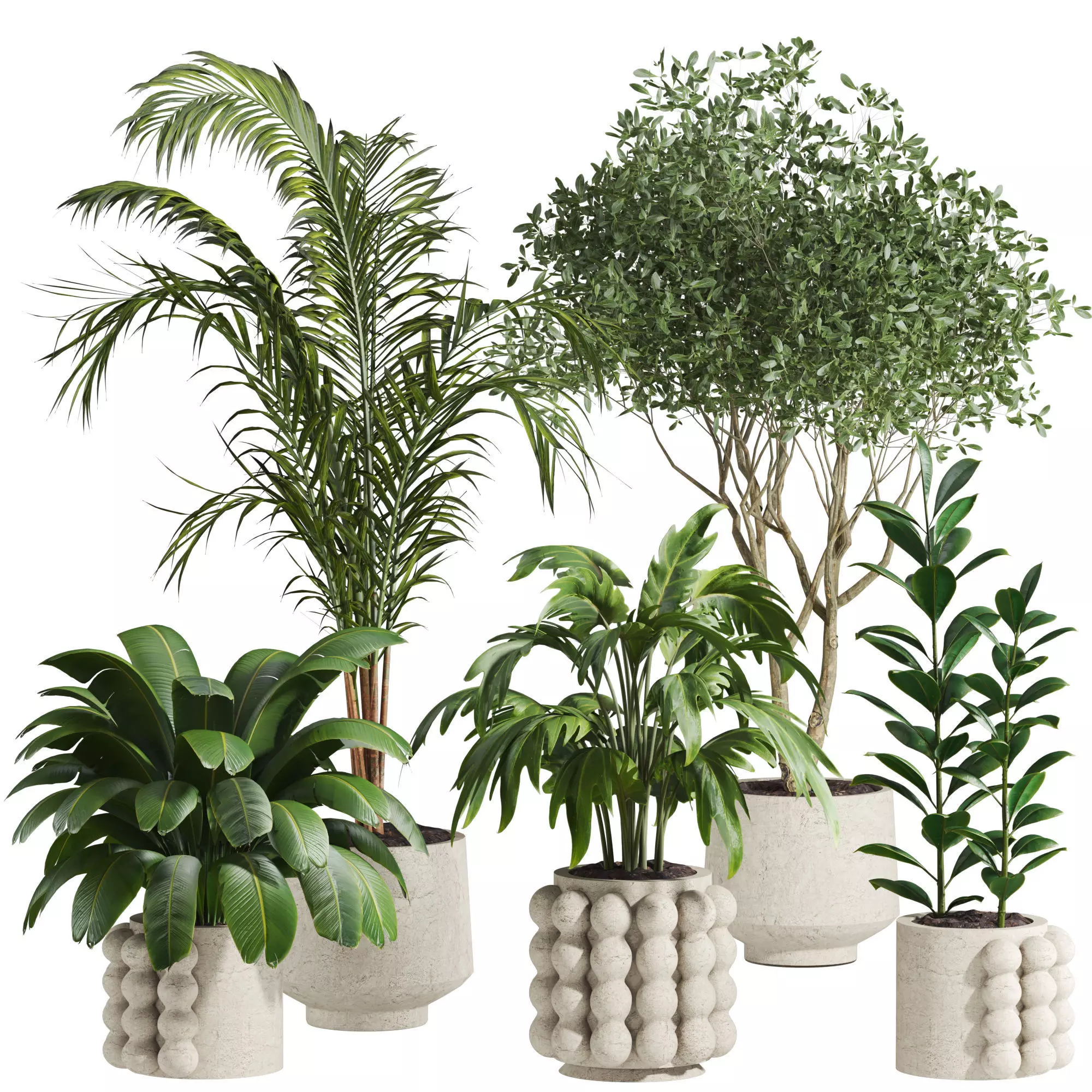Plants Set 3D model_0