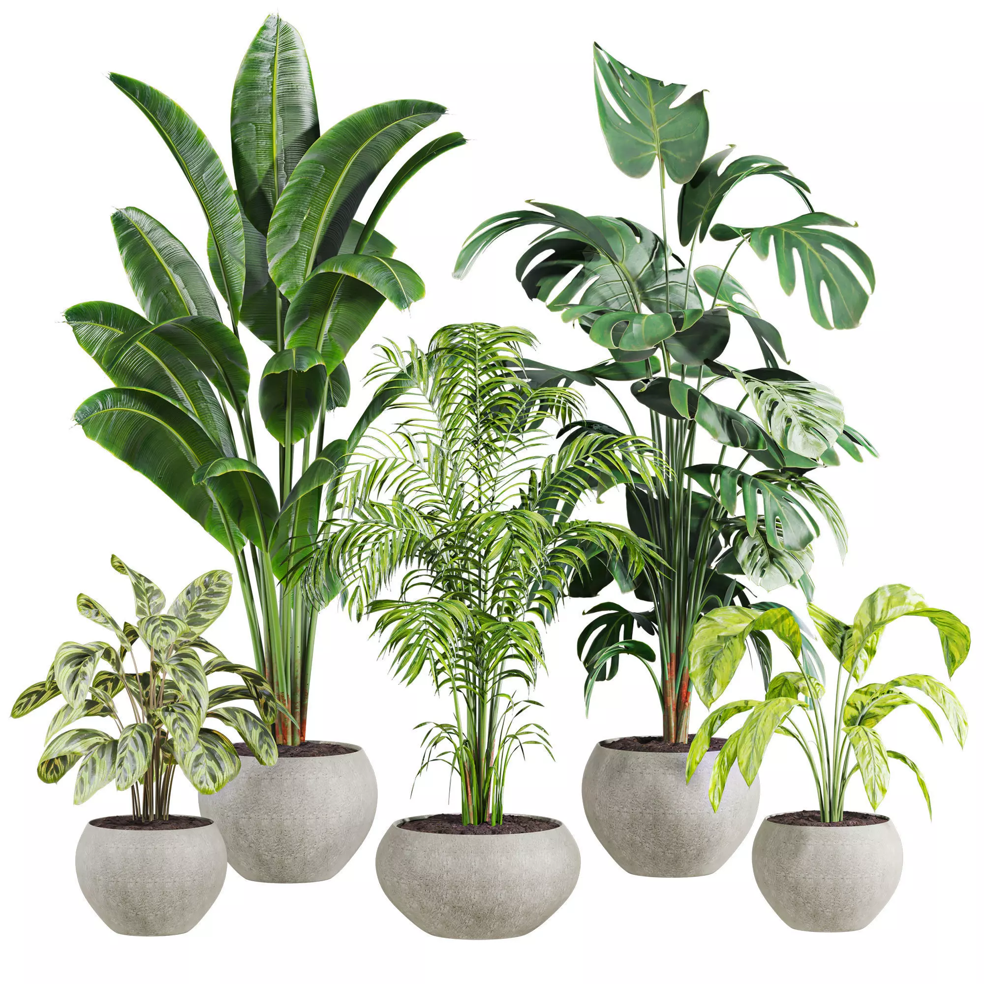 Plants Set 3D model_0