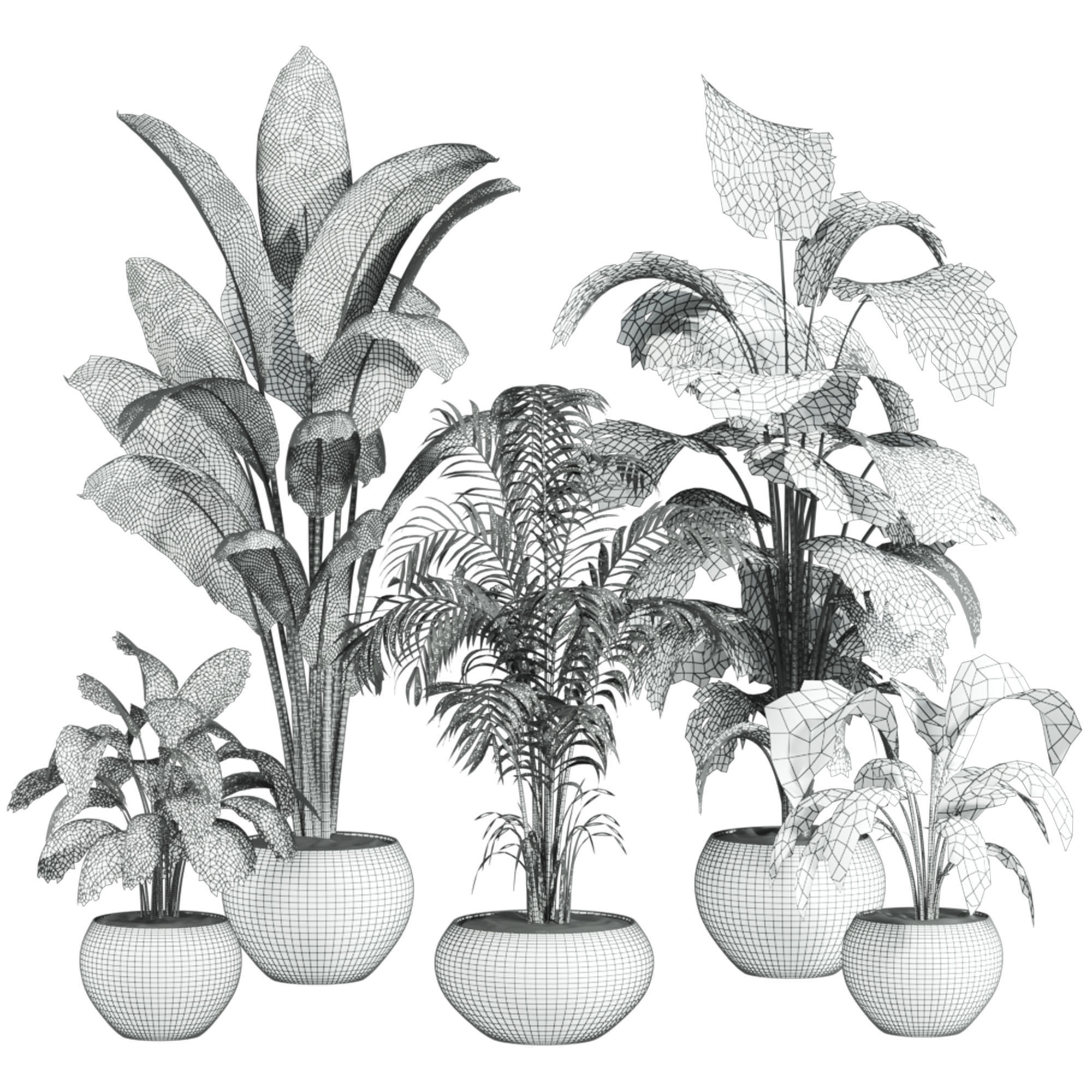 Plants Set 3D model_1