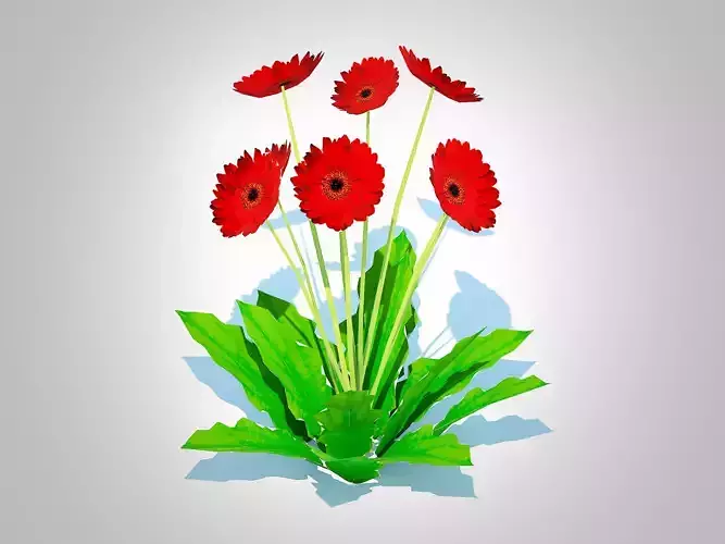 Plant  Gerbera - Gerbera Daisy Red Flower  