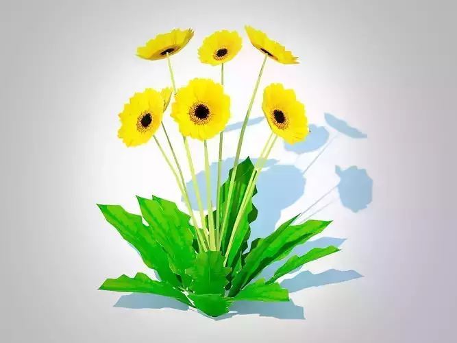 Plant   Gerbera - Gerbera Daisy Yellow Flower 