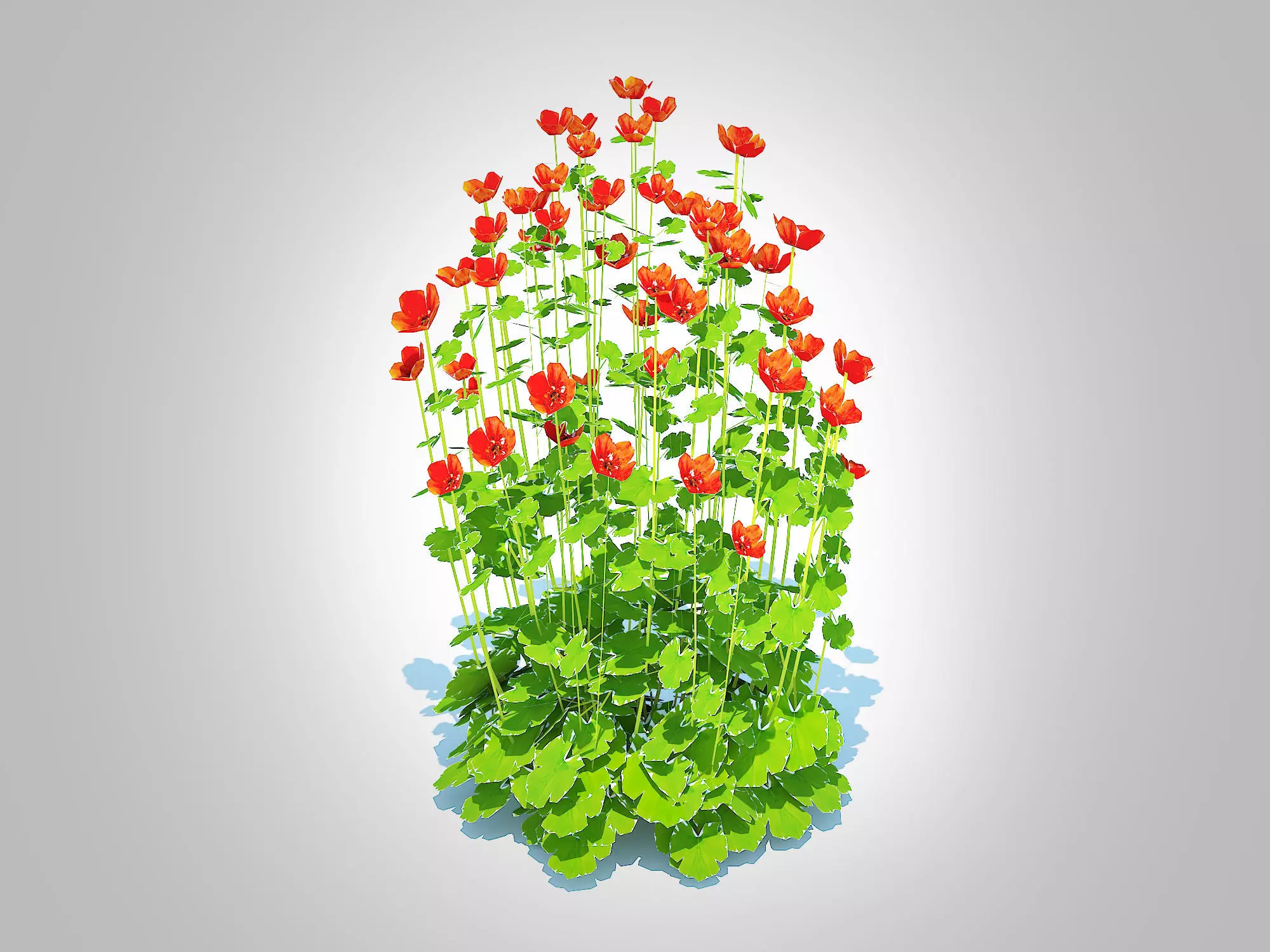 Plant Geum -Totally Tangerine Low-poly 3D model