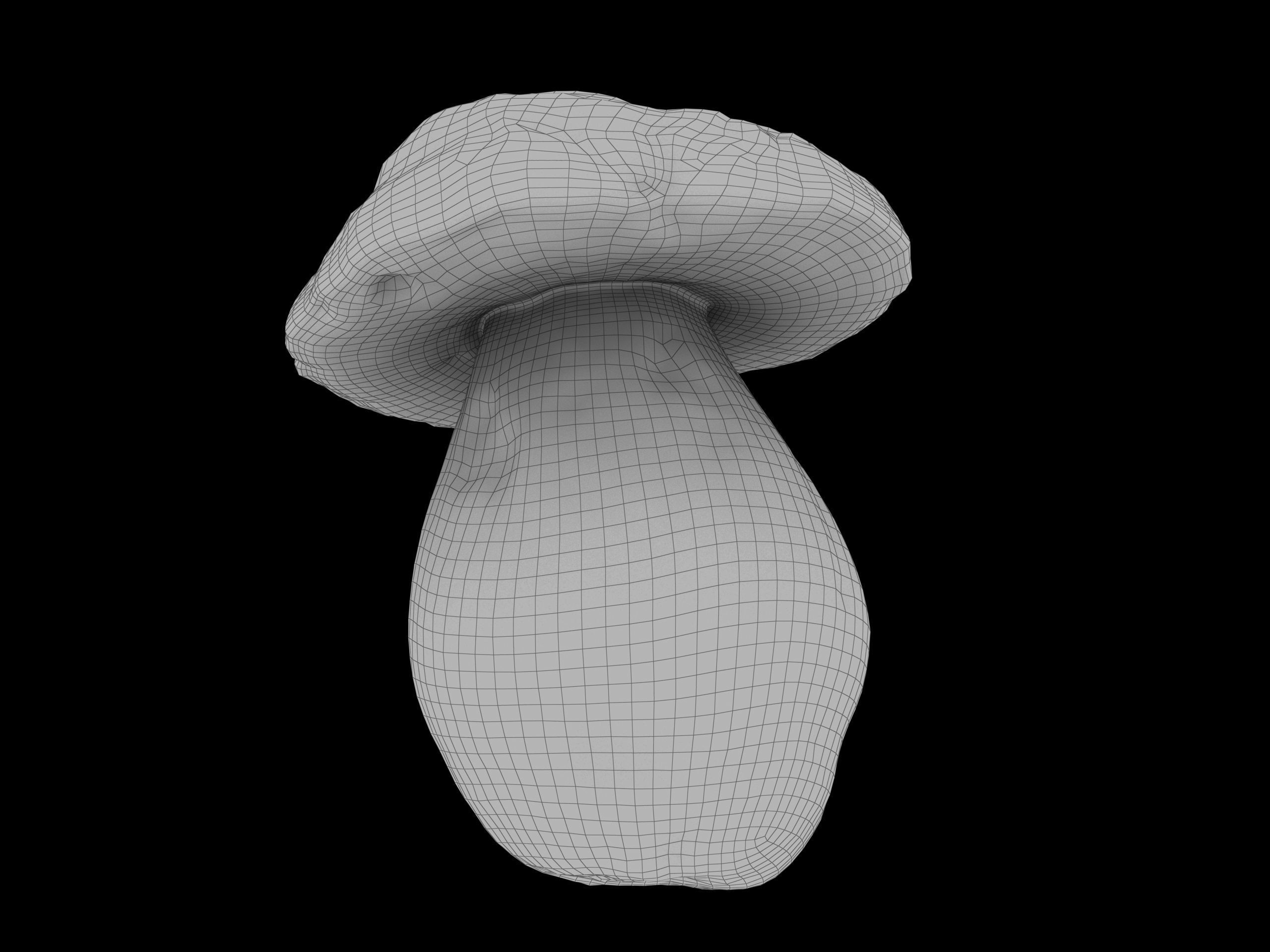 Boletus Edulis 02 Low-poly 3D model_9
