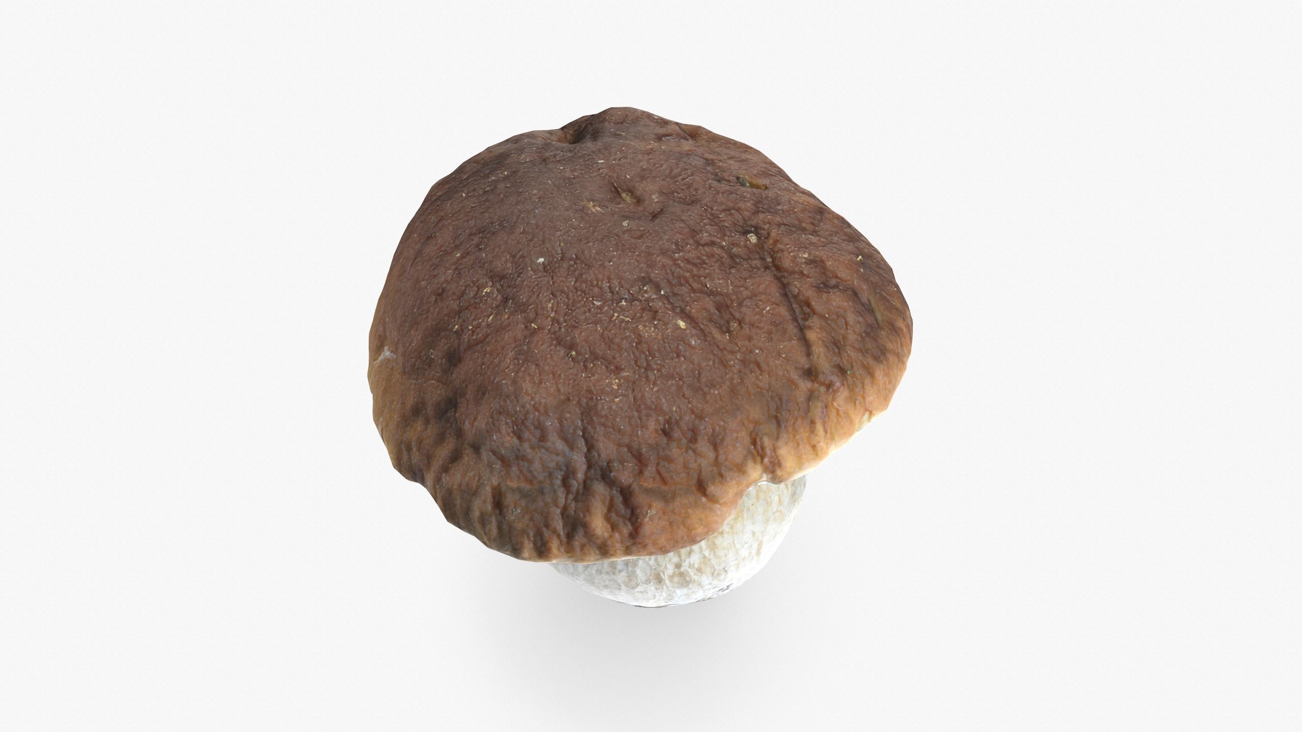 Boletus Edulis 02 Low-poly 3D model_4