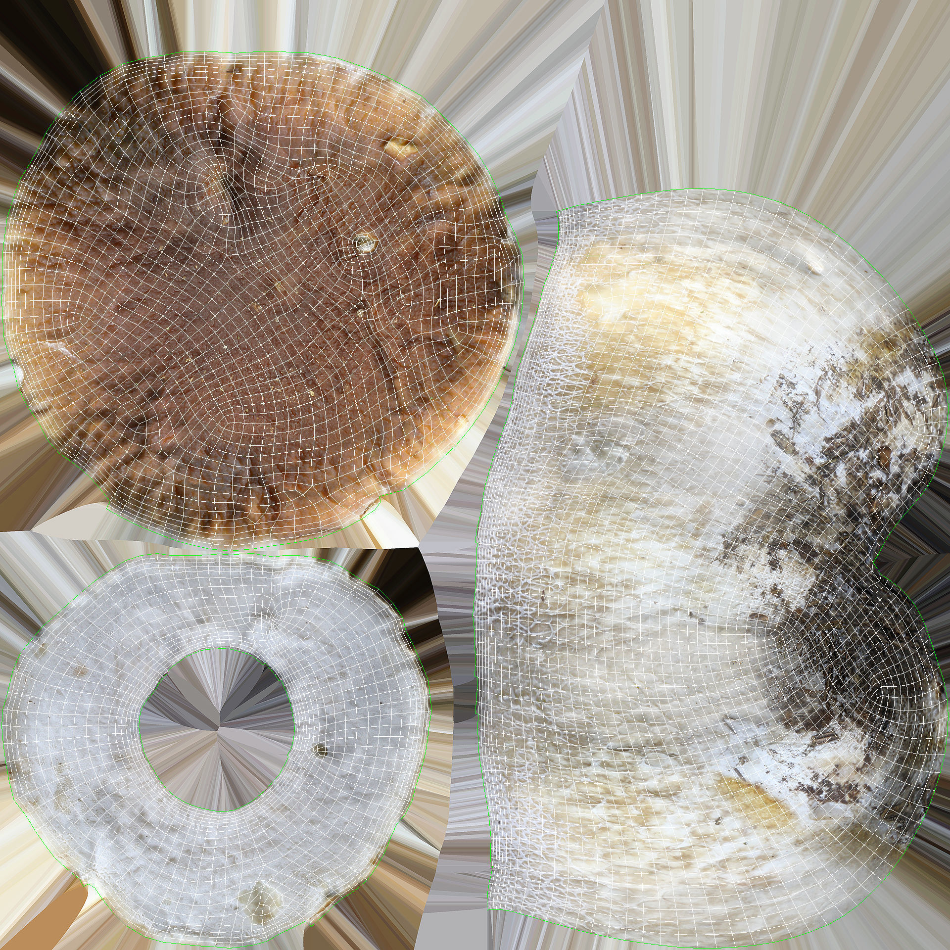 Boletus Edulis 02 Low-poly 3D model_6