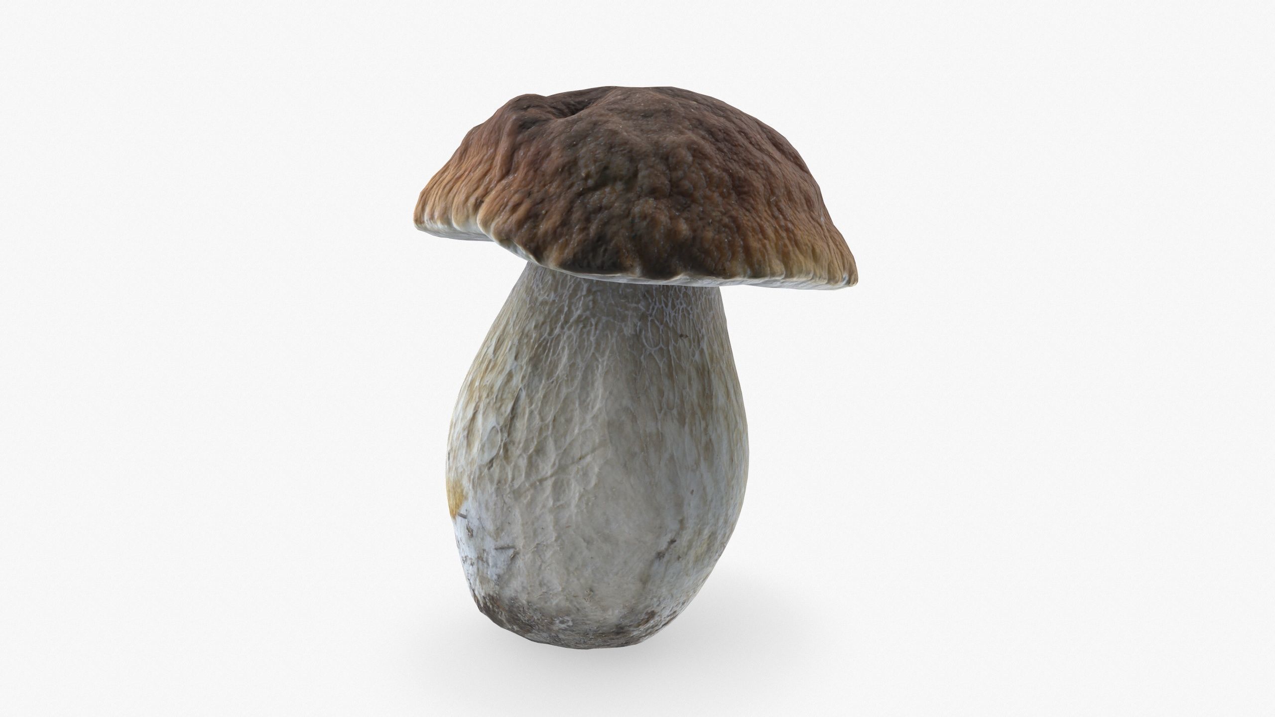 Boletus Edulis 02 Low-poly 3D model_5