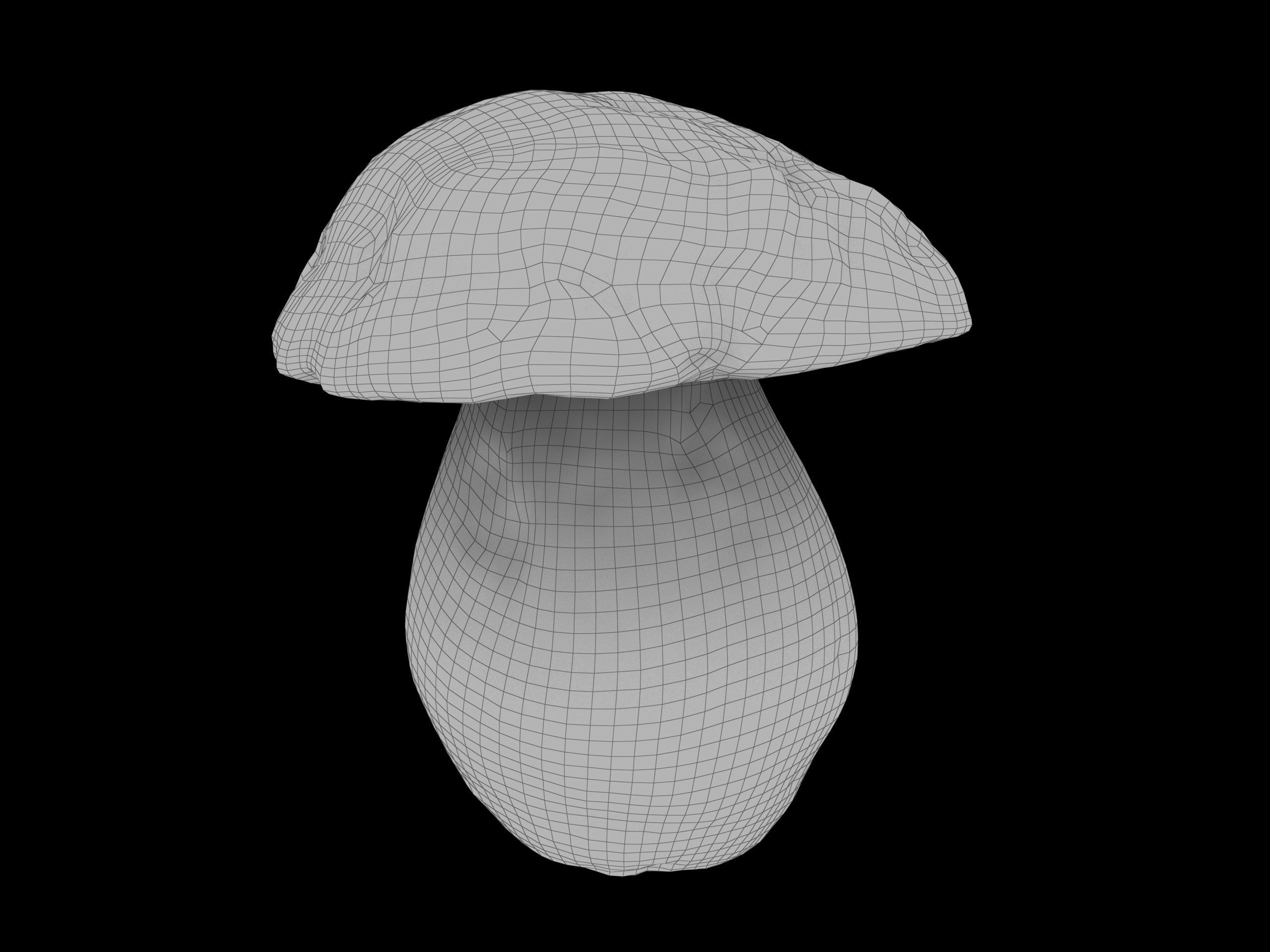 Boletus Edulis 02 Low-poly 3D model_8