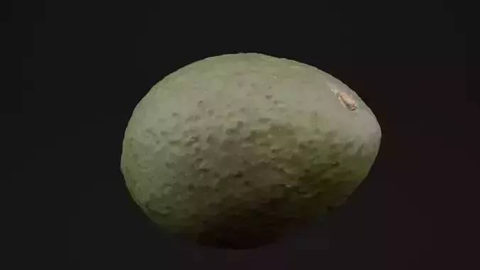 Avocado 