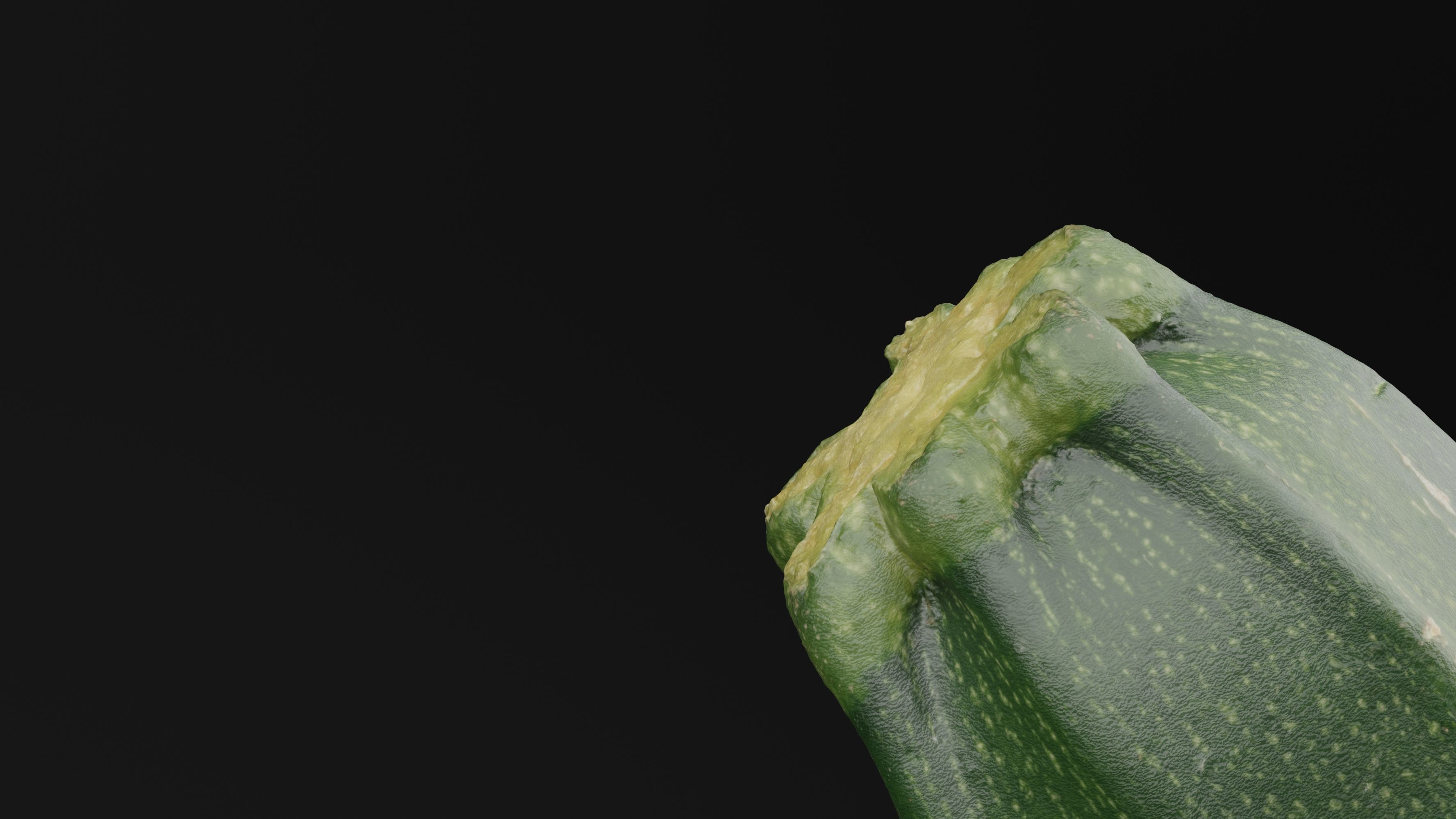 Courgette 2 3D model_2