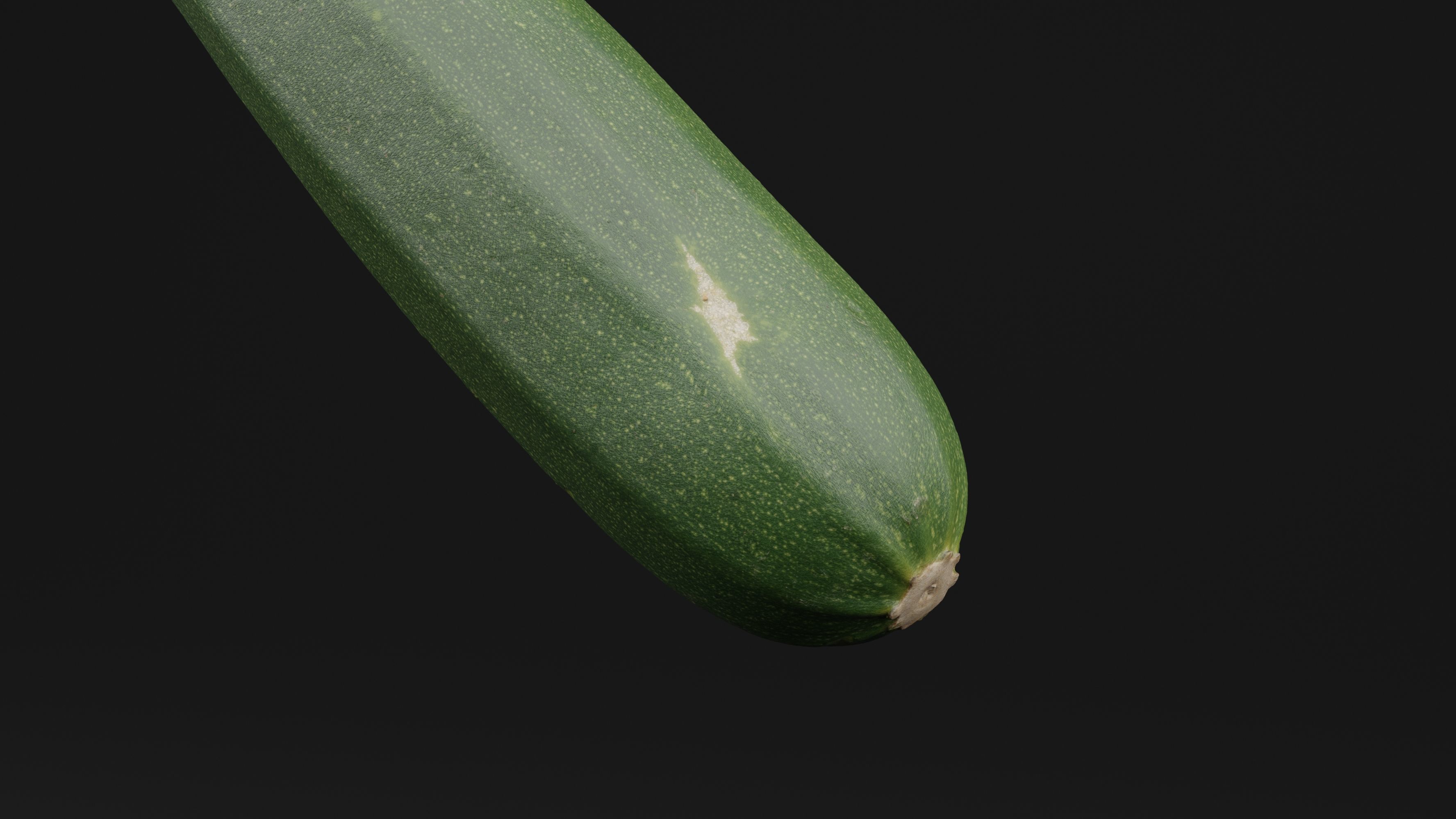 Courgette 2 3D model_1