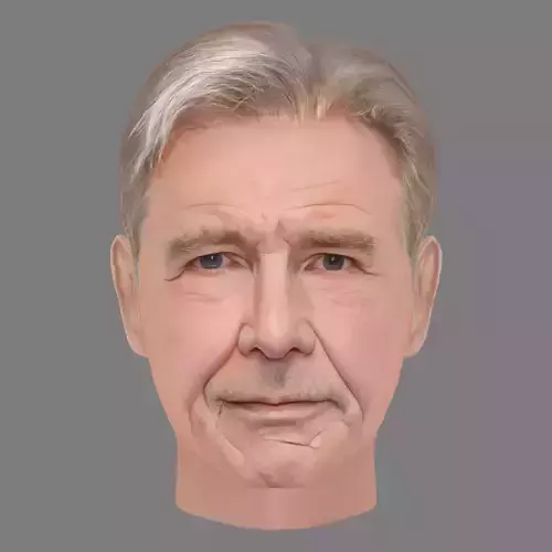 Harrison Fords Head - Low poly head for game