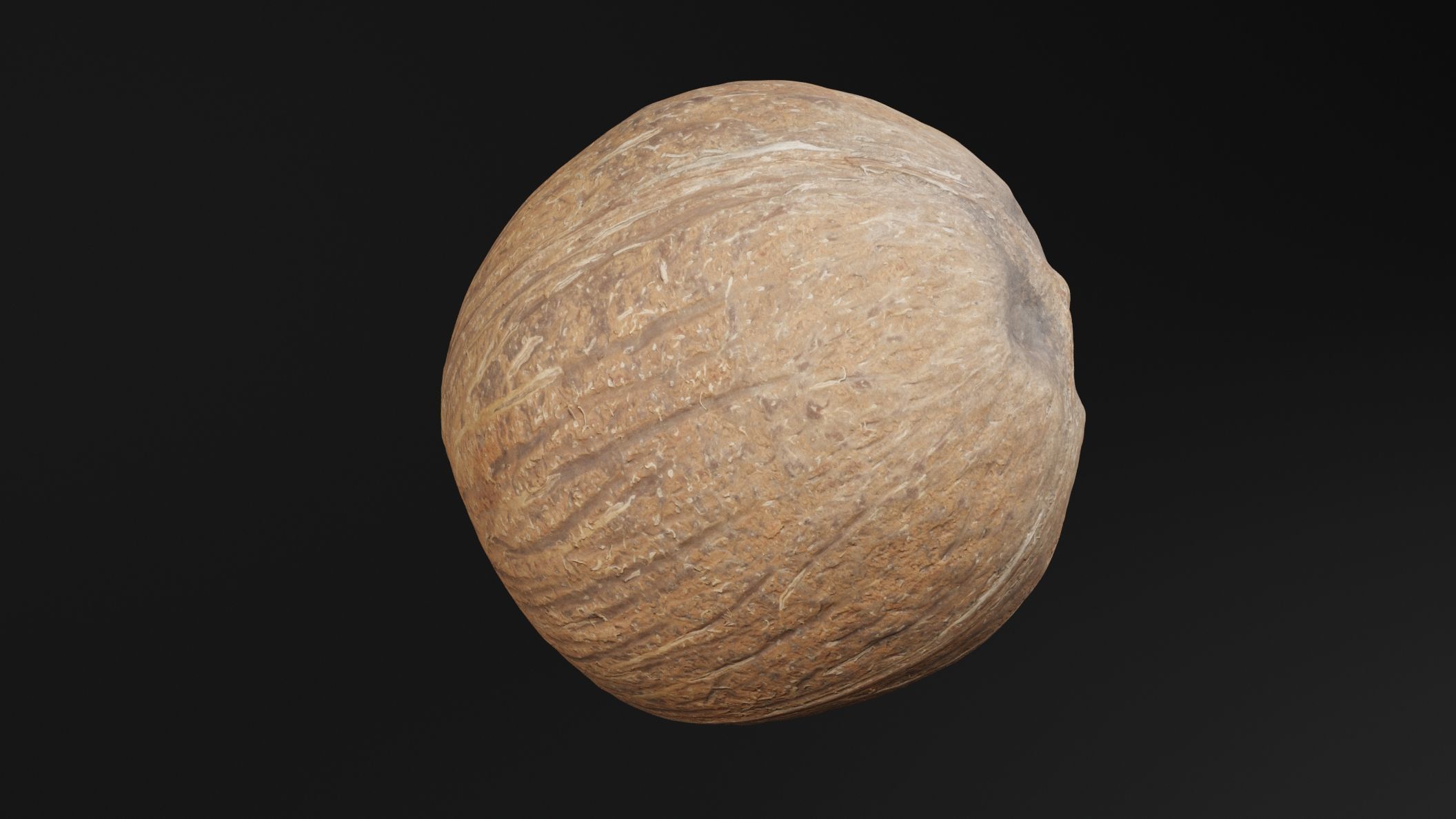 Coconut 2 3D model_3