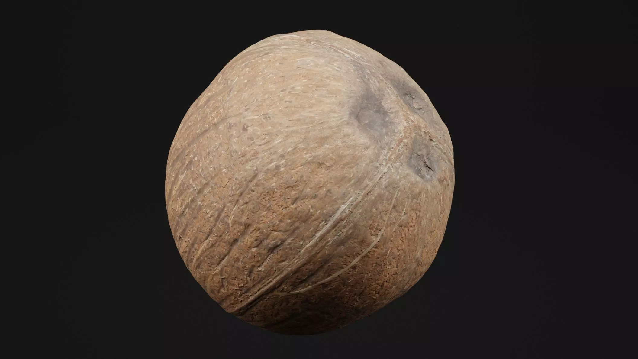 Coconut 2 3D model_0