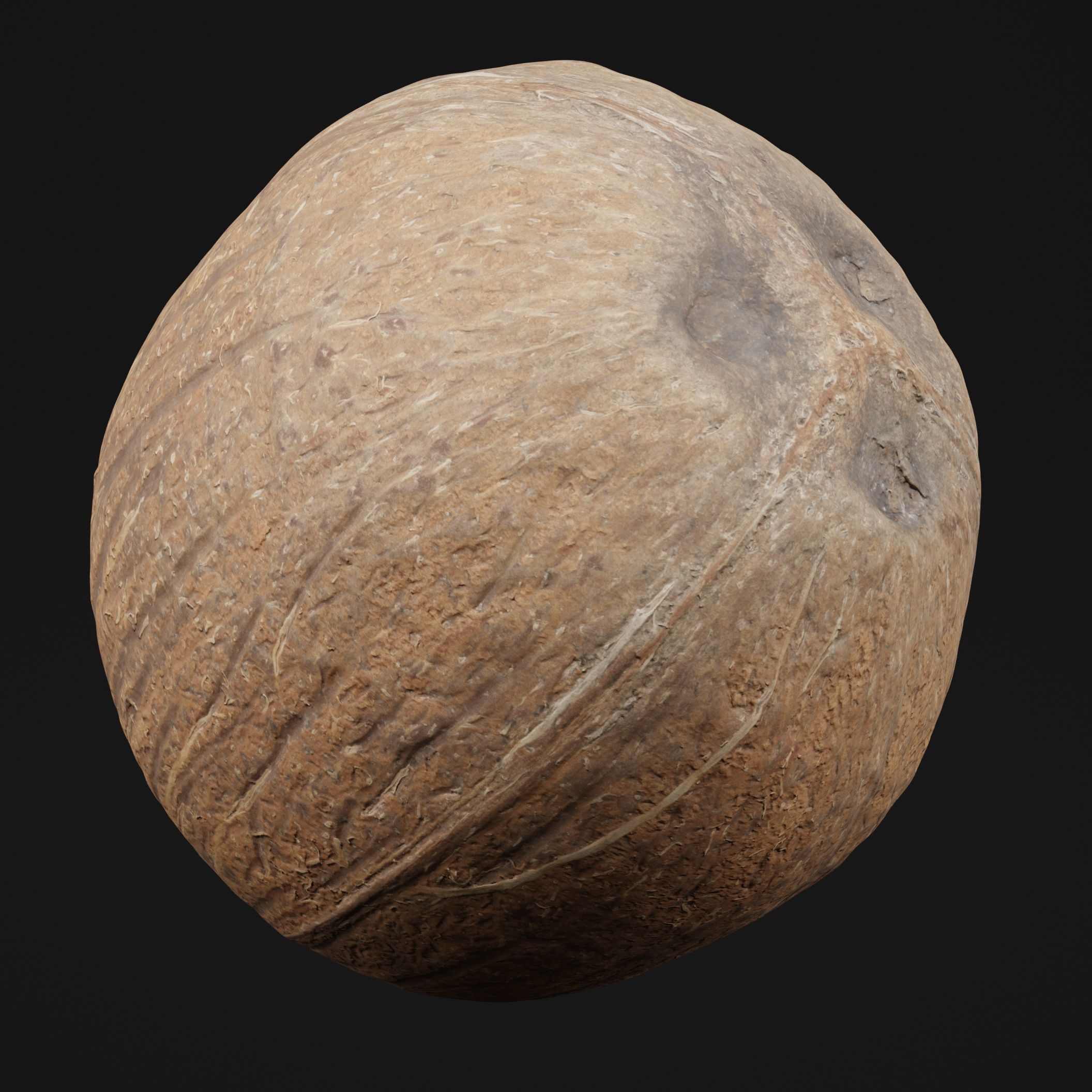 Coconut 2 3D model_5