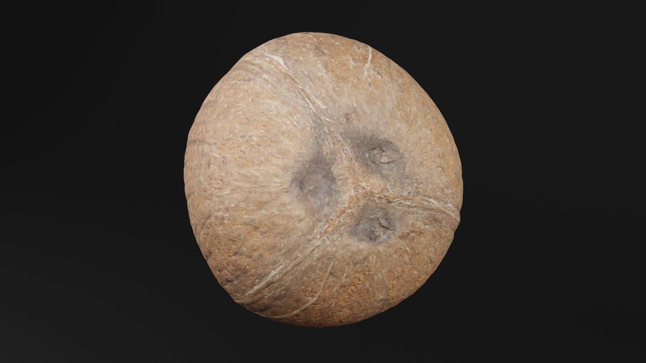 Coconut 2 3D model_4