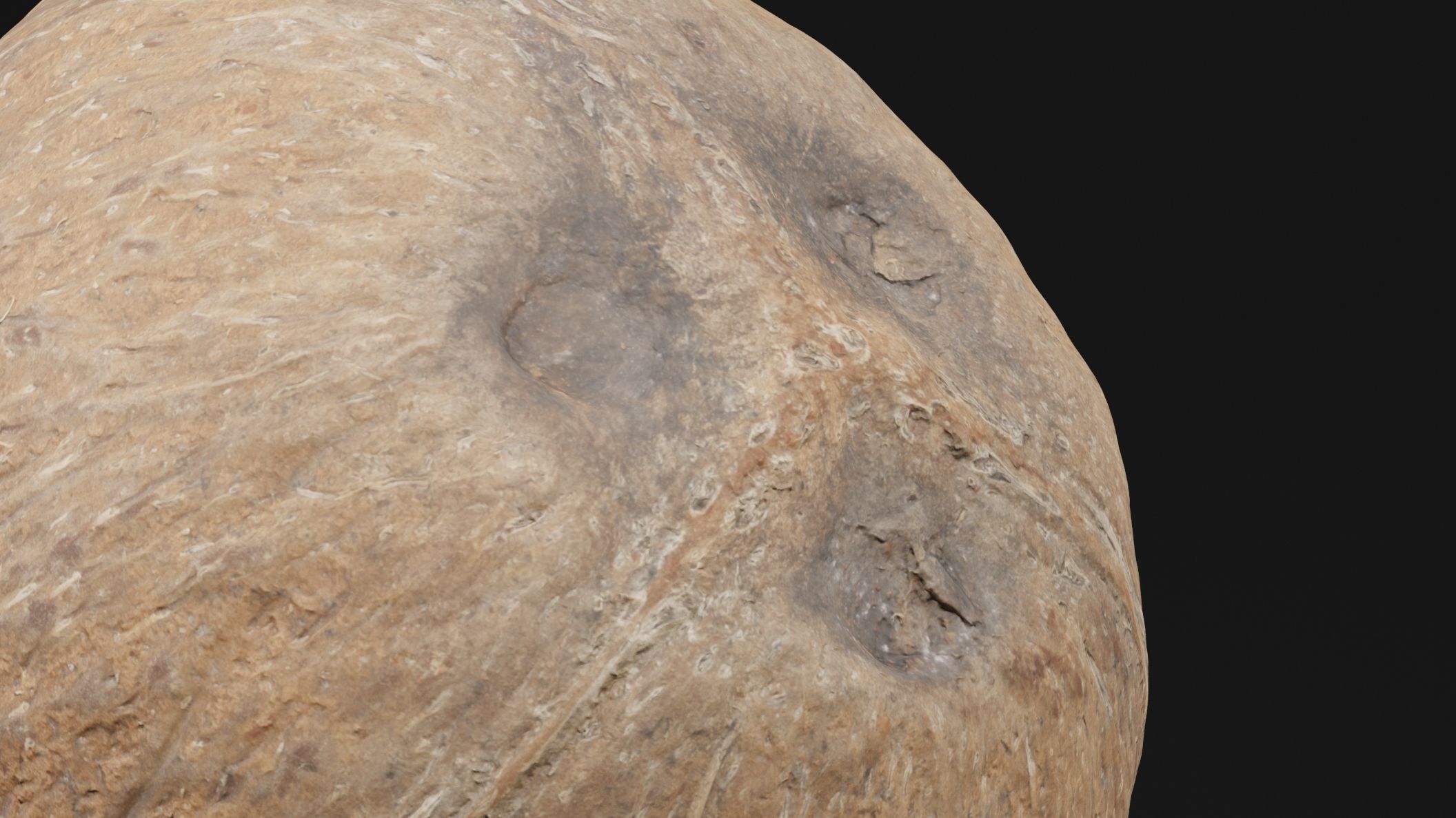 Coconut 2 3D model_1