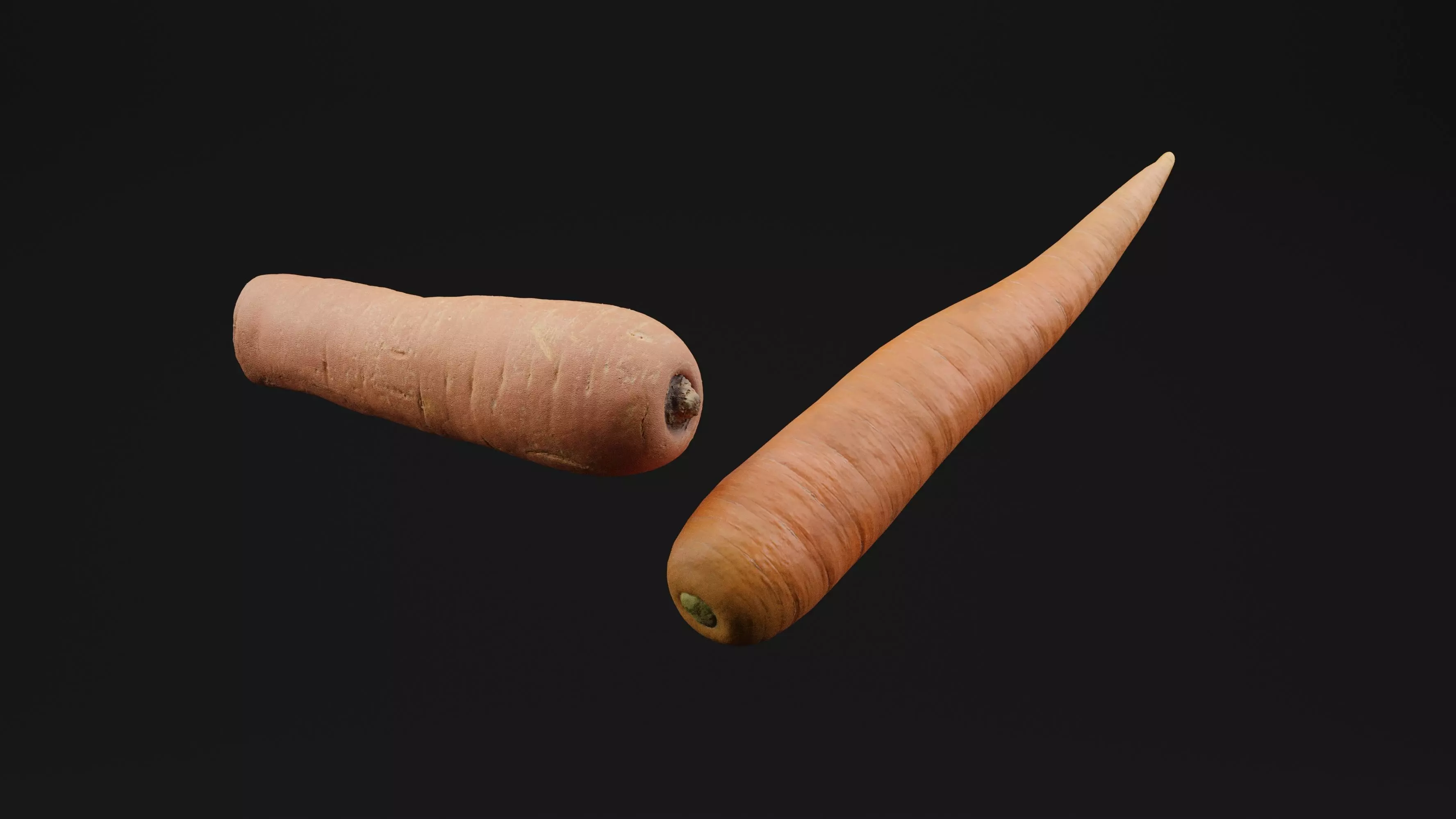 Carrot 3D model