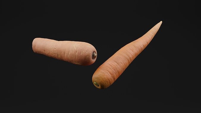 Carrot 3D model