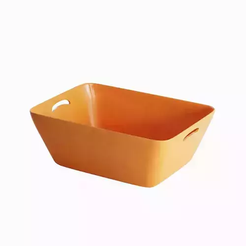 Plastic Basin 01