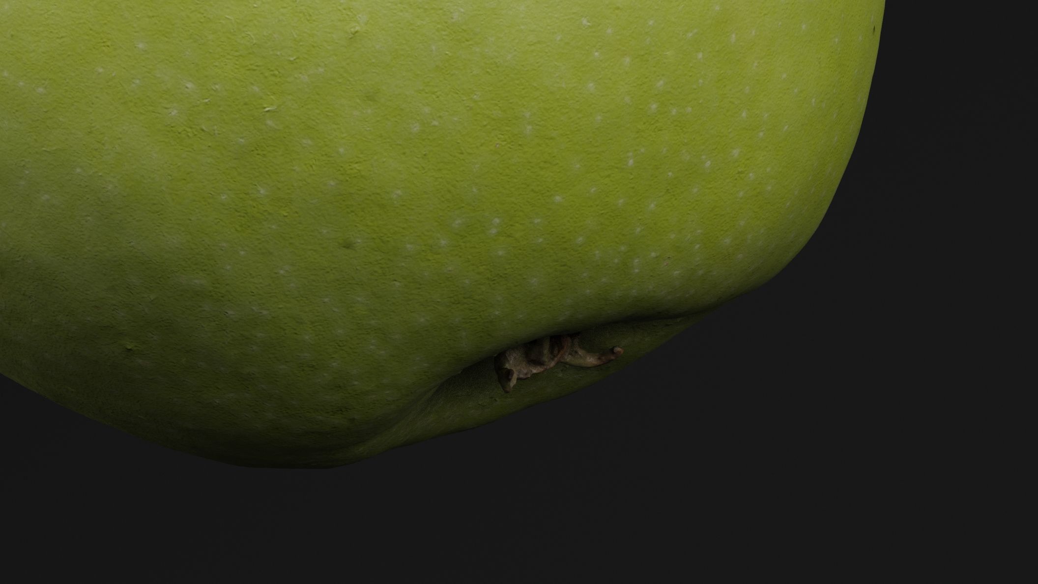 Green Apple 3D model_1