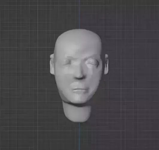 Human head sculpture