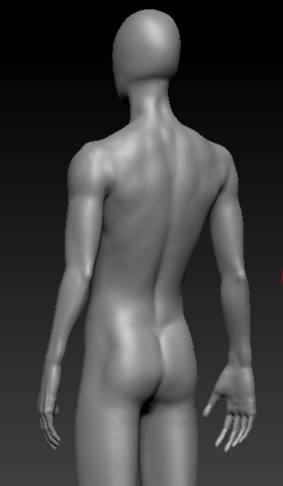 High Poly Male Basemesh 3D Model for Sculpting 3D model_5