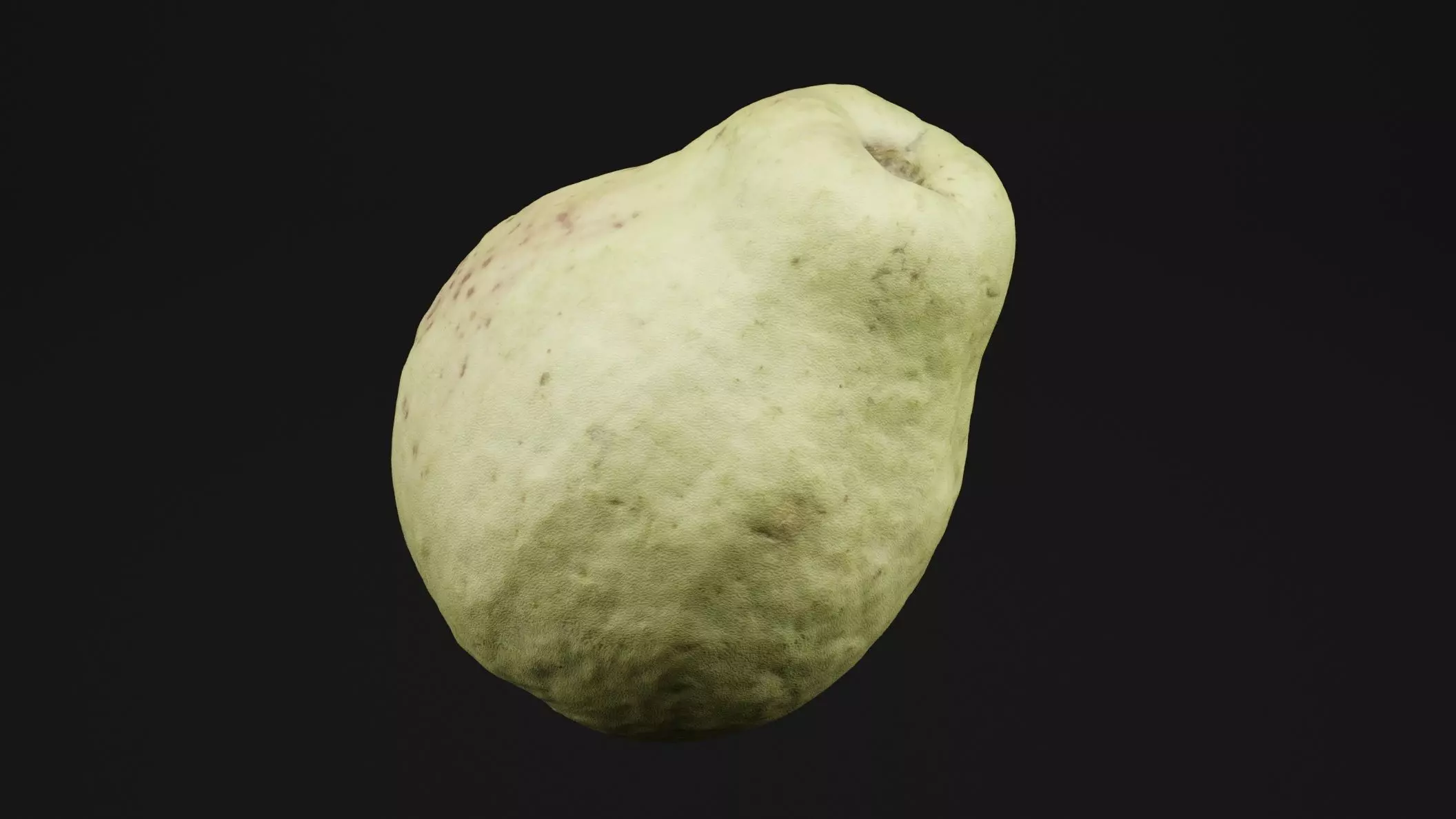 Guava 3D model_0