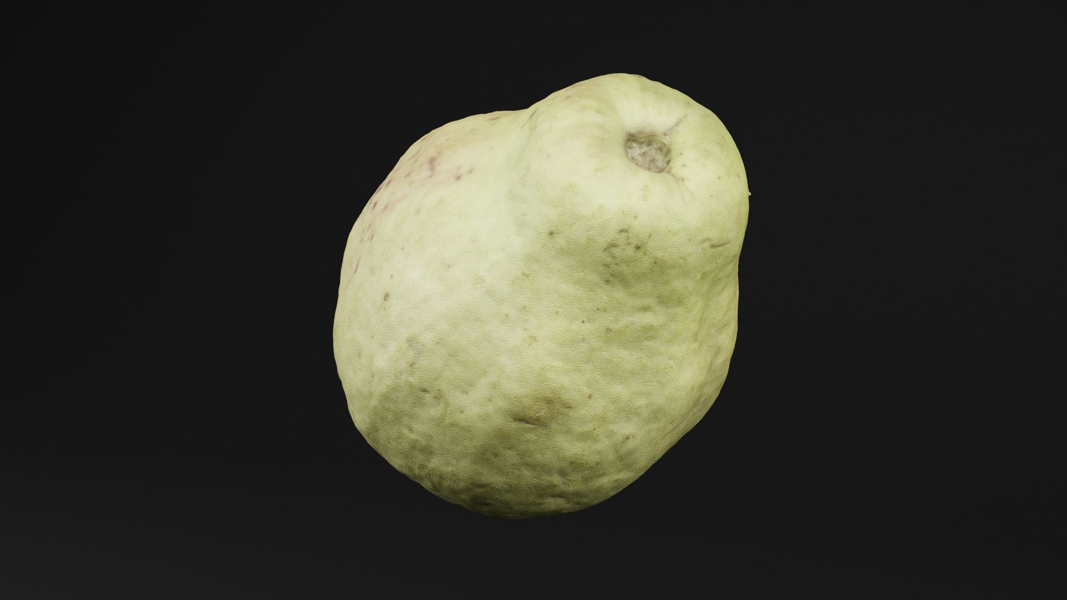 Guava 3D model_4