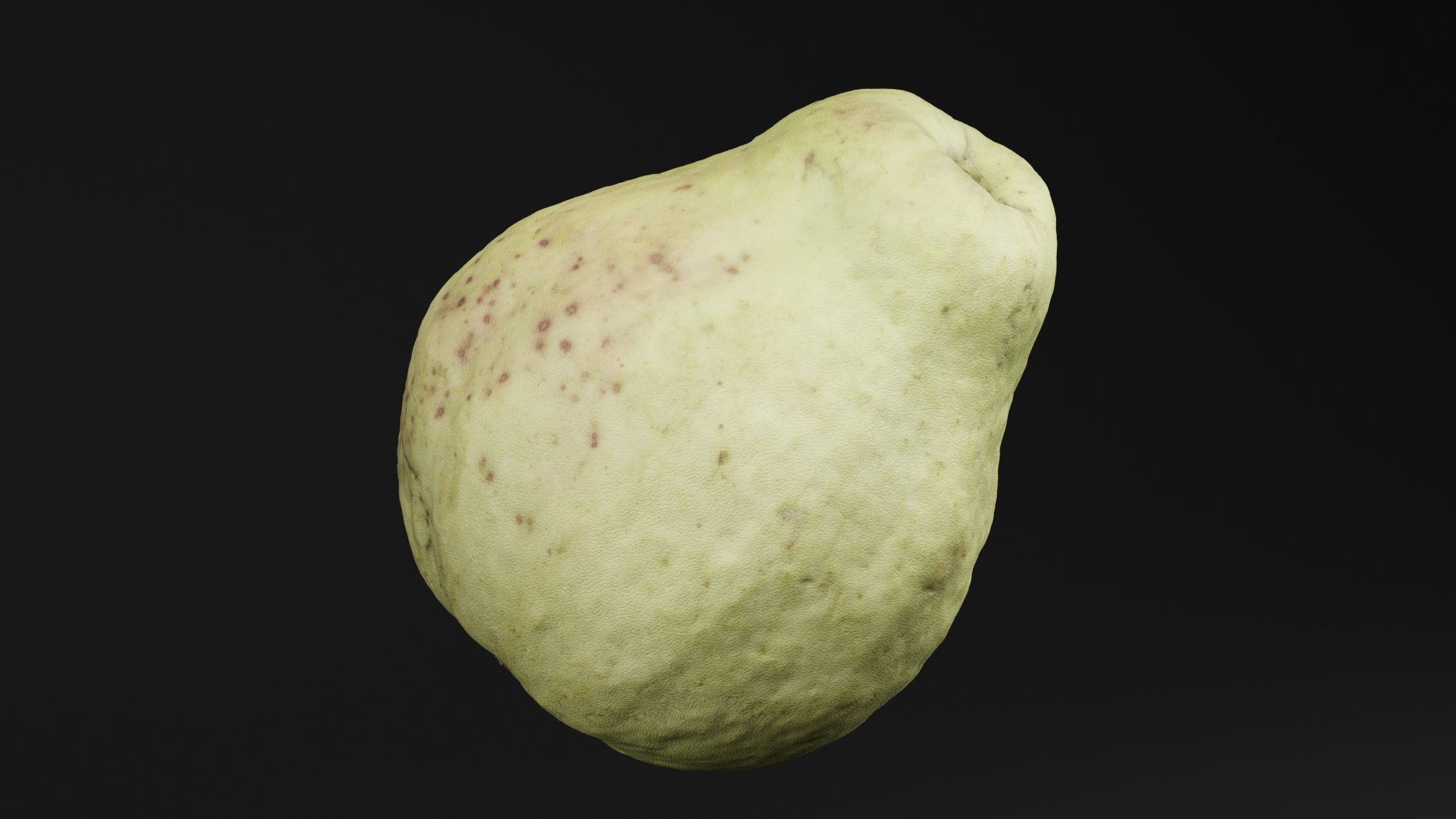 Guava 3D model_3
