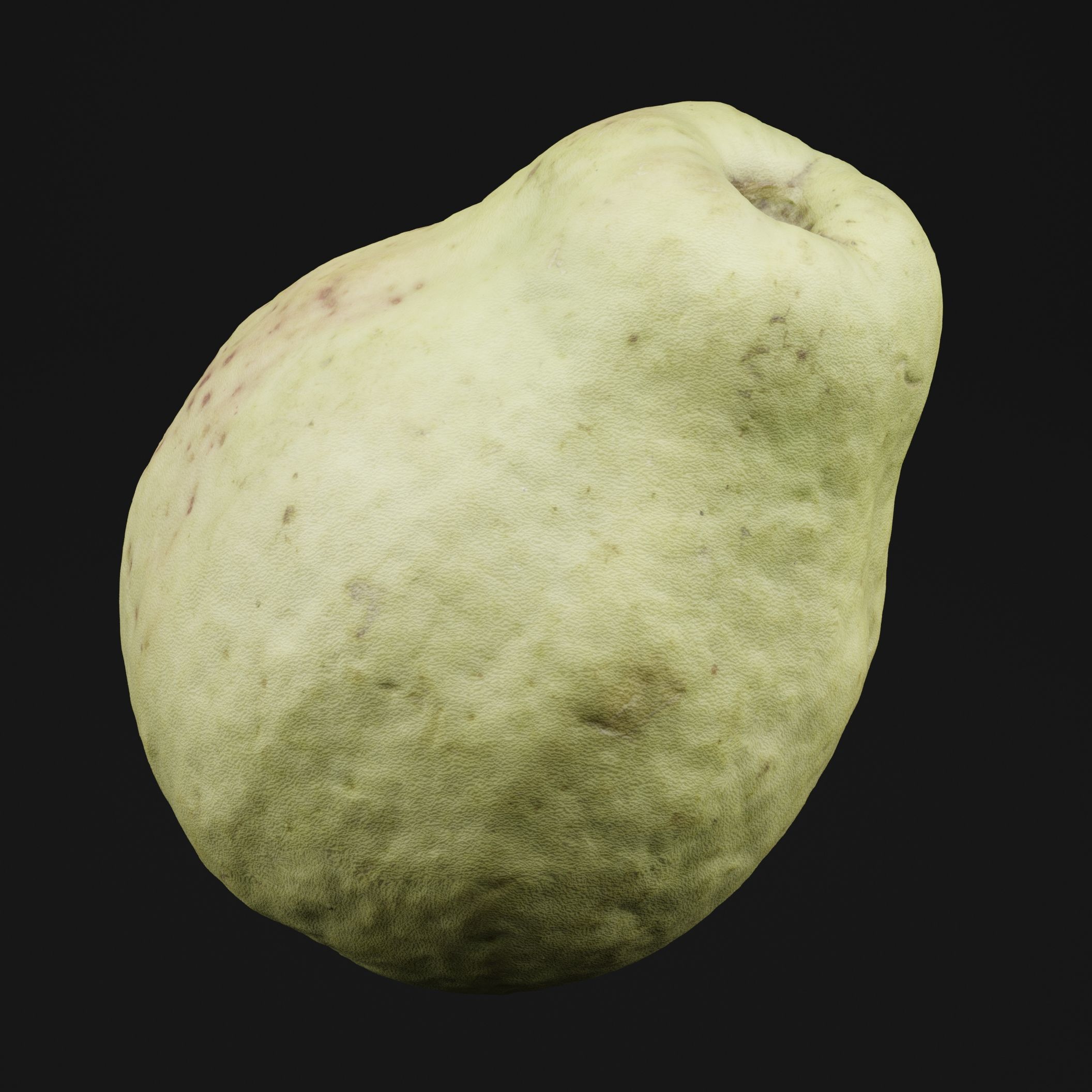 Guava 3D model_5