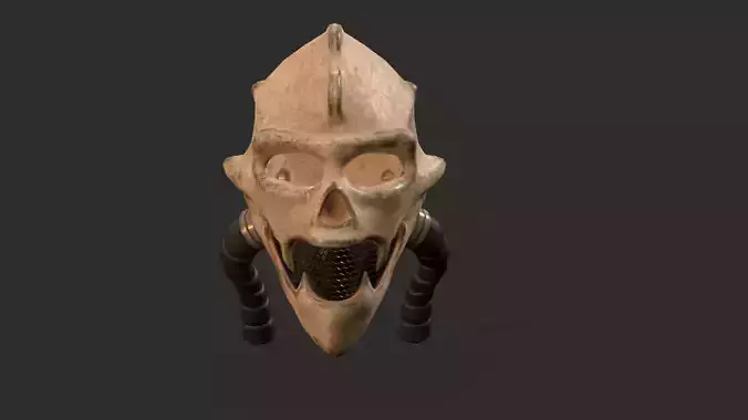 Renegade Skull Helmet