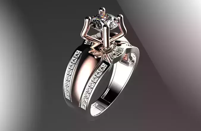 jewelry ring 170