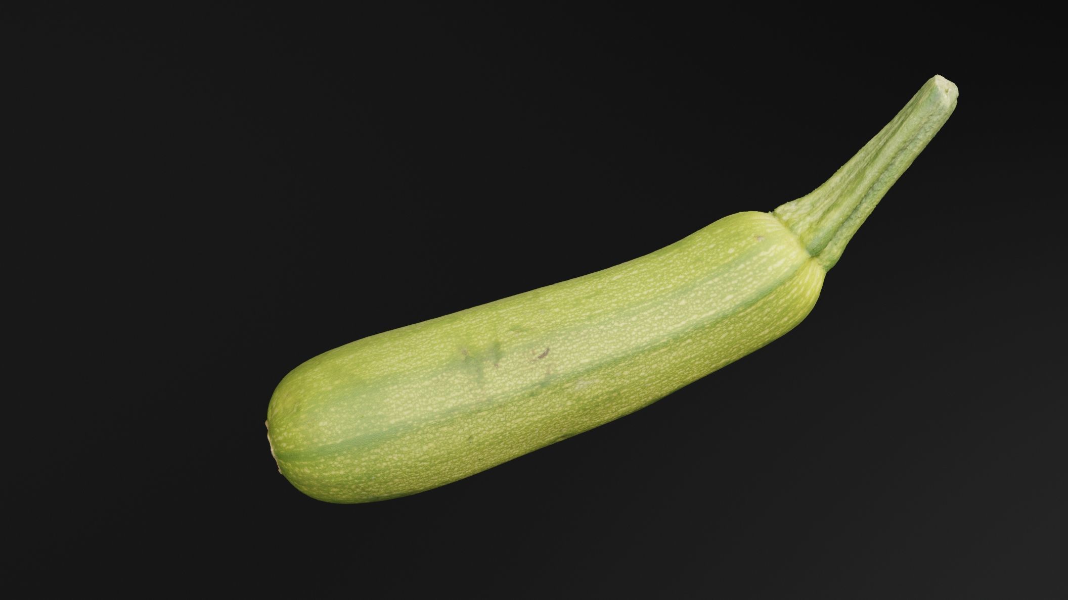 Luffa Acutangula 3D model_3