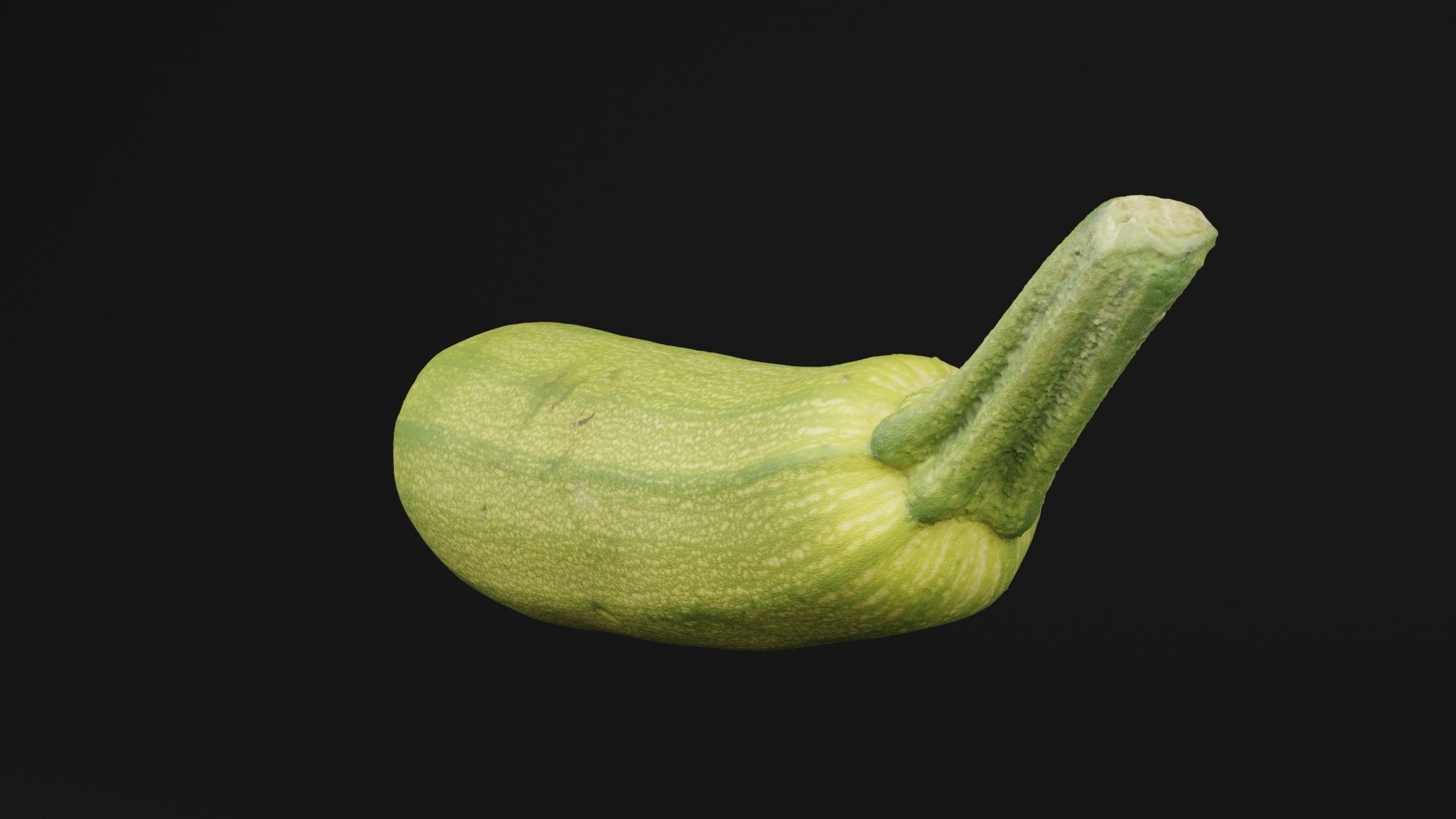 Luffa Acutangula 3D model_4