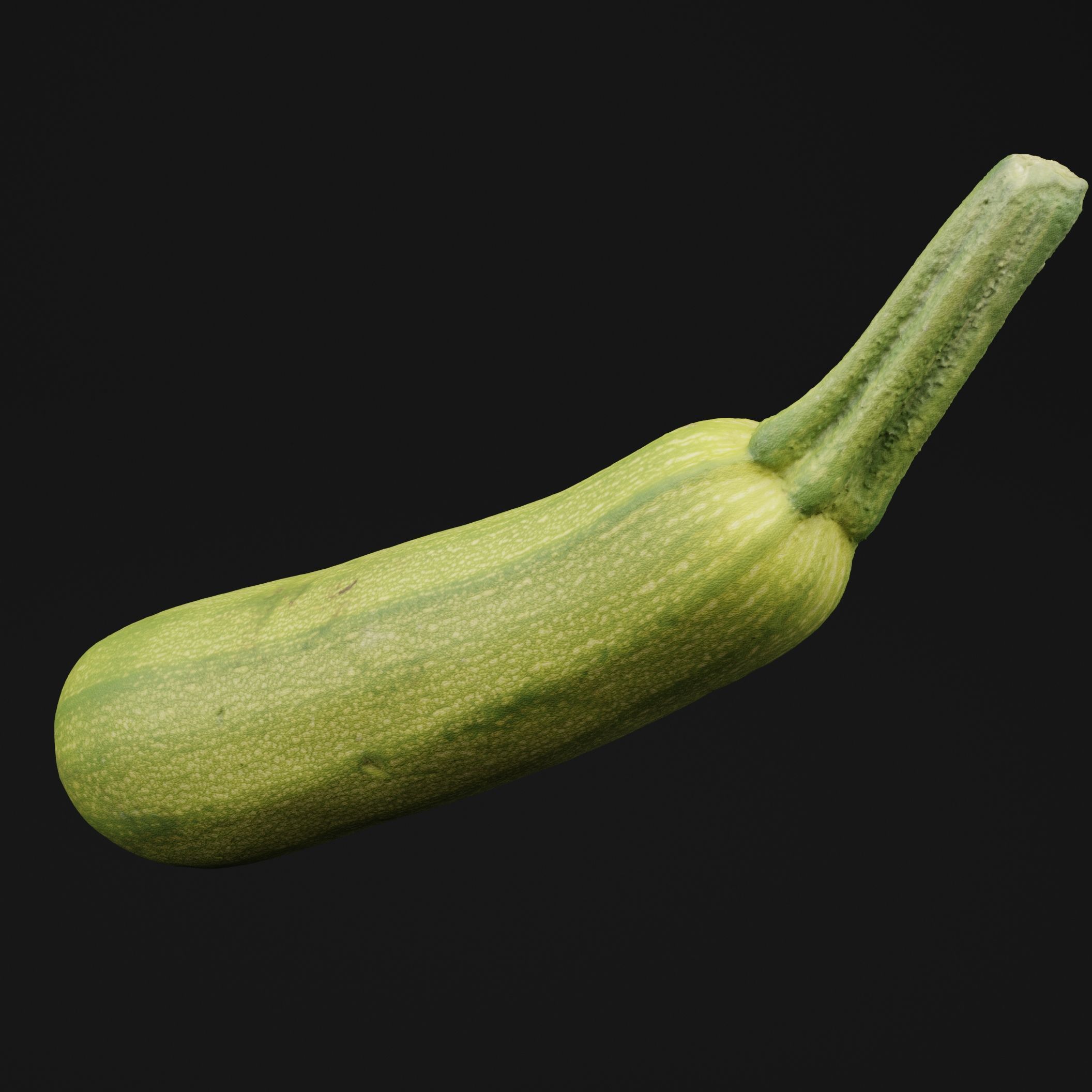 Luffa Acutangula 3D model_5