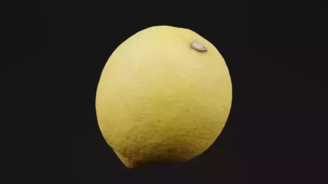 Lemon Free 3D model