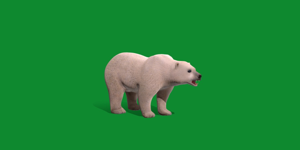Polar Bear Low-poly 3D model_13