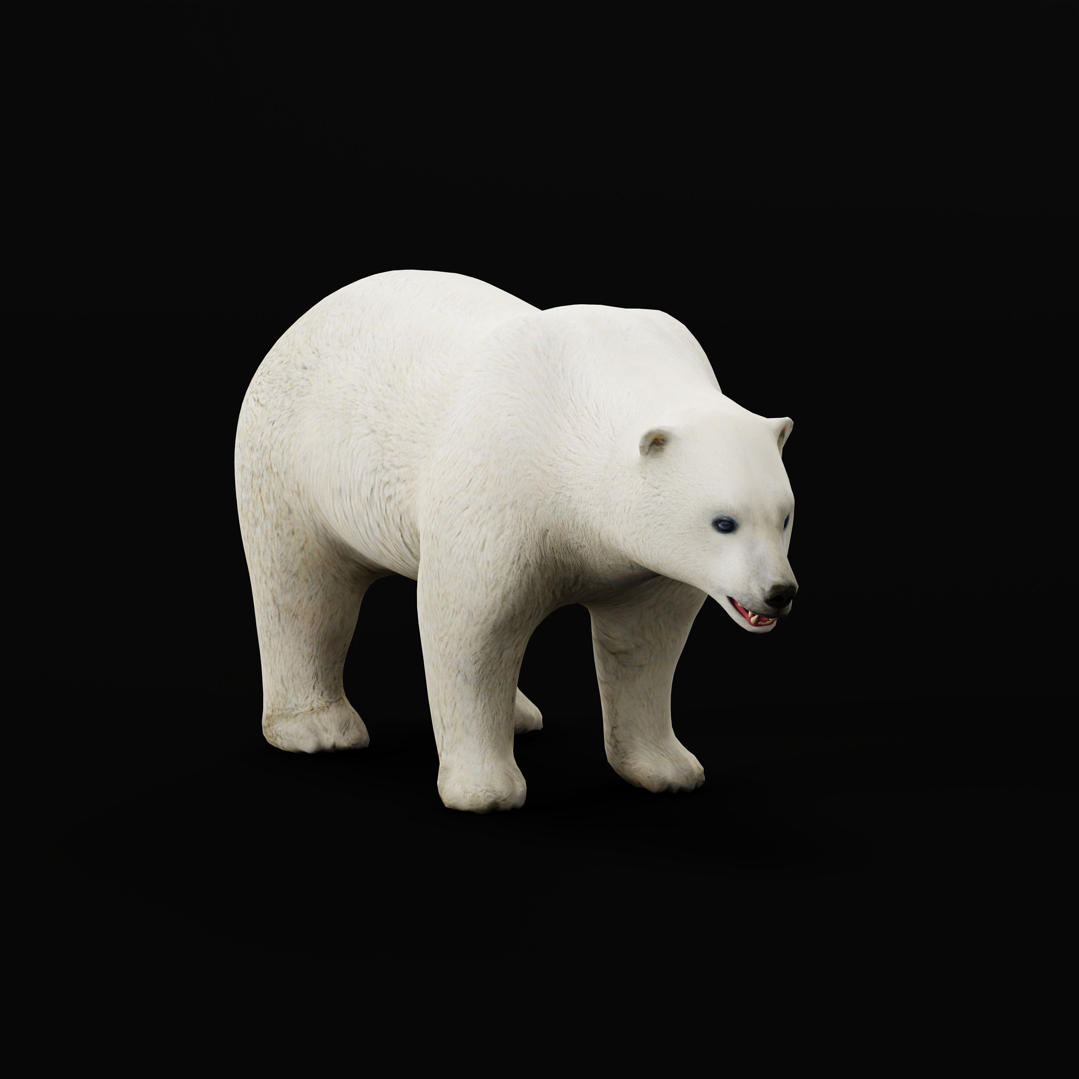 Polar Bear Low-poly 3D model_34
