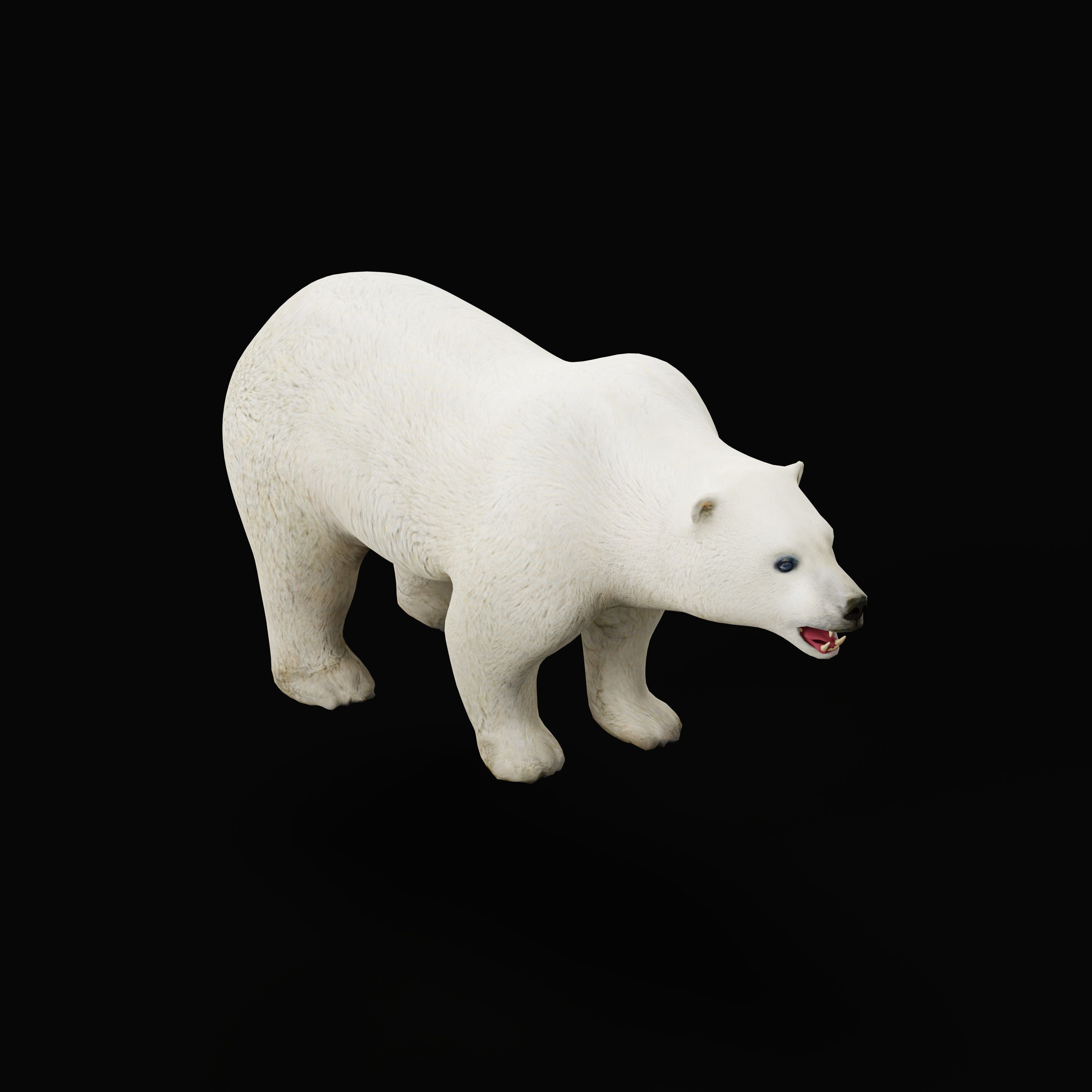 Polar Bear Low-poly 3D model_29