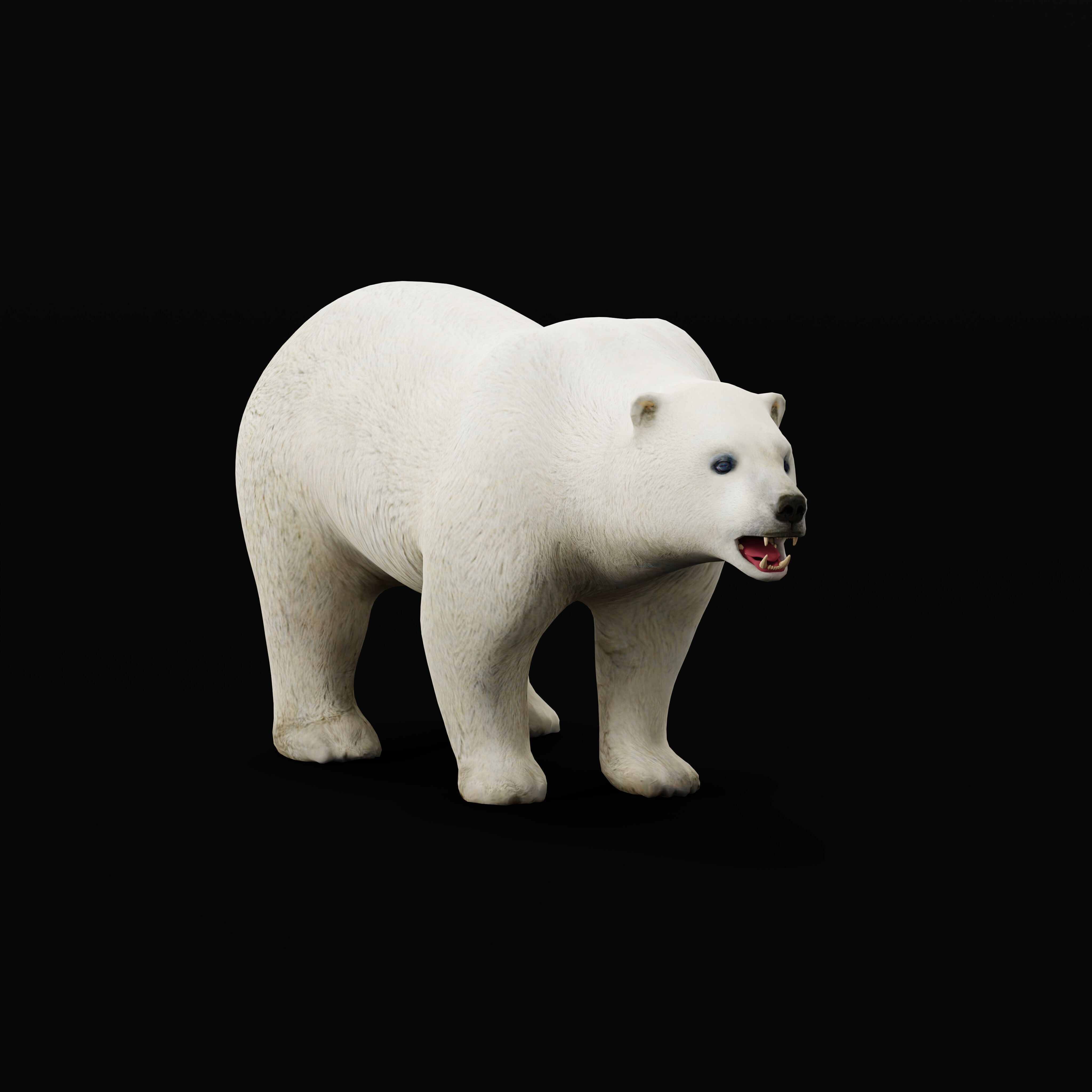 Polar Bear Low-poly 3D model_30